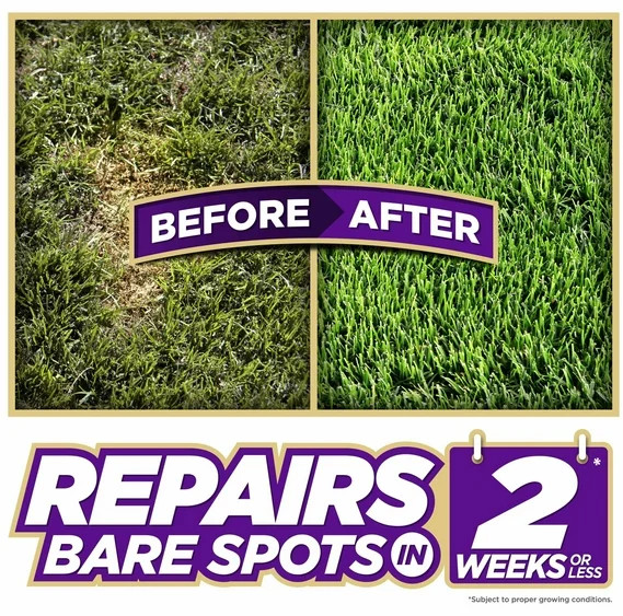 Pennington One Step Dense Shade Grass Seed Mix 5 lb – Patch & Repair Lawn