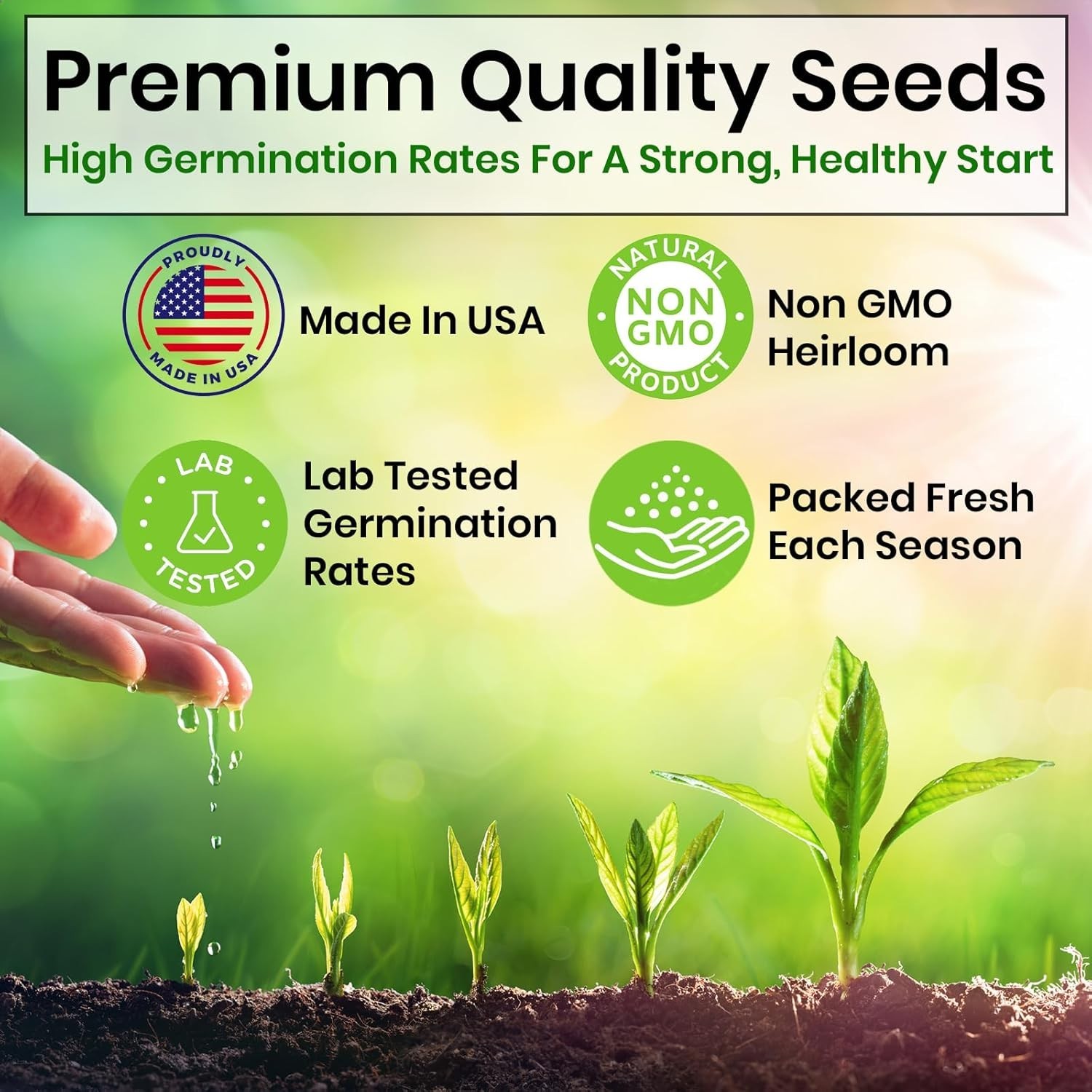 5 Herb Seeds Kit: Oregano, Basil, Cilantro for Indoor/Outdoor Gardens