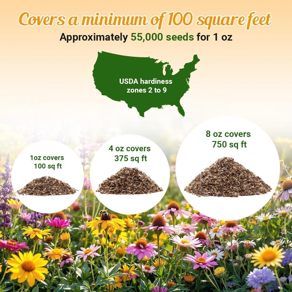 Drought Resistant Wildflower – 1Oz, Open-Pollinated Bulk Flower Seed Mix for Be