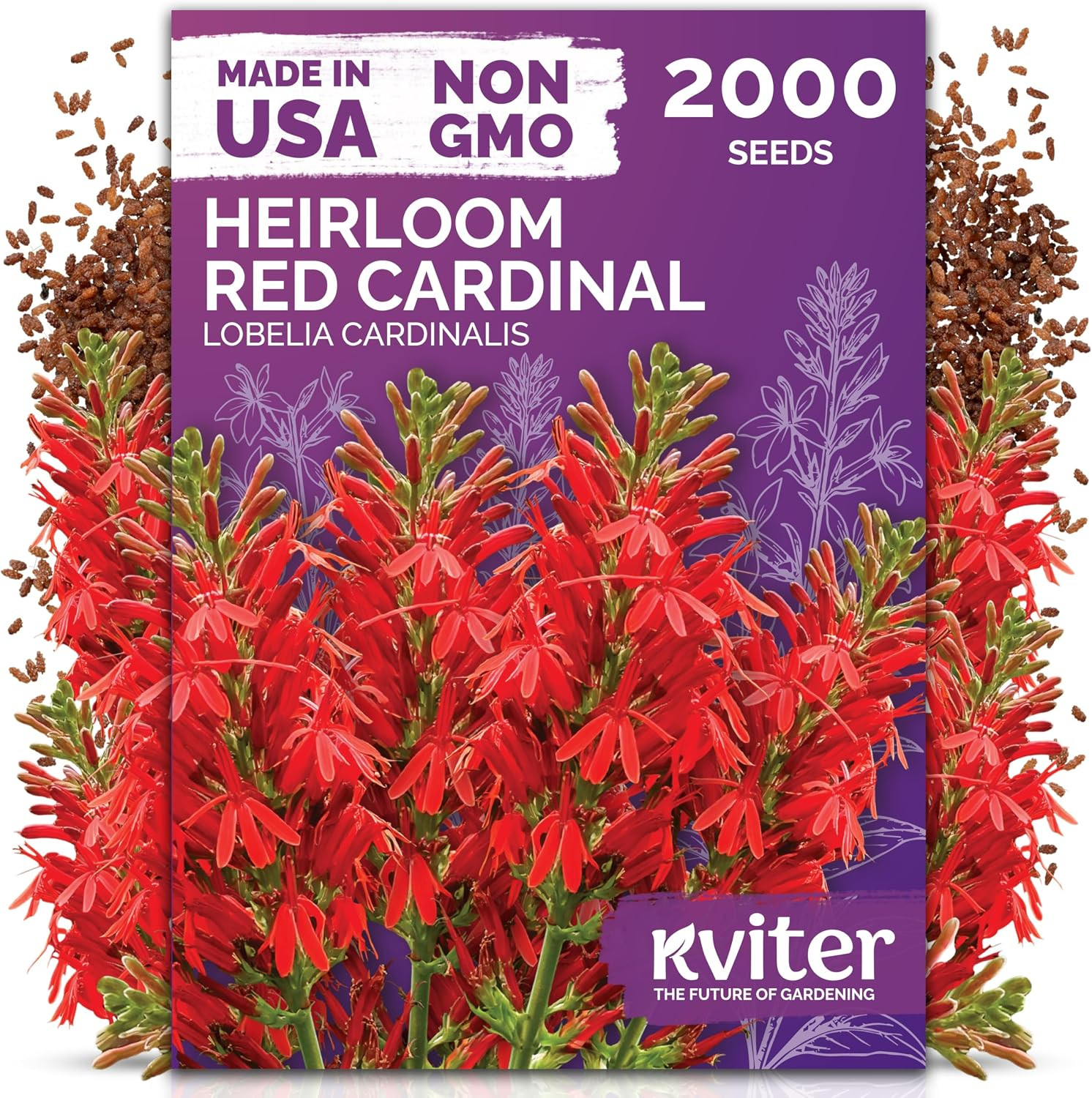 20,000 Creeping Thyme Seeds (Thymus Serpyllum) – Wild Thyme, Aromatic Ground Cov