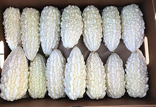 6 White Bitter Melon Seeds for Planting Whit Bitter Gourd Melon