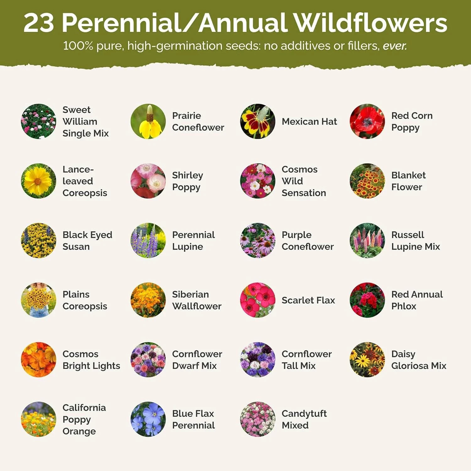 Midwest Wildflower Mixed Seeds for Planting, 1/4 Lb, 120,000+ Seeds with Cornflo
