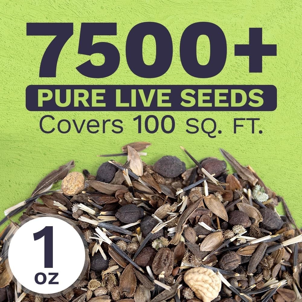 Large 1 Ounce Wildflower Seeds for Garden with 7500+ Pollinator-Friendly Seeds
