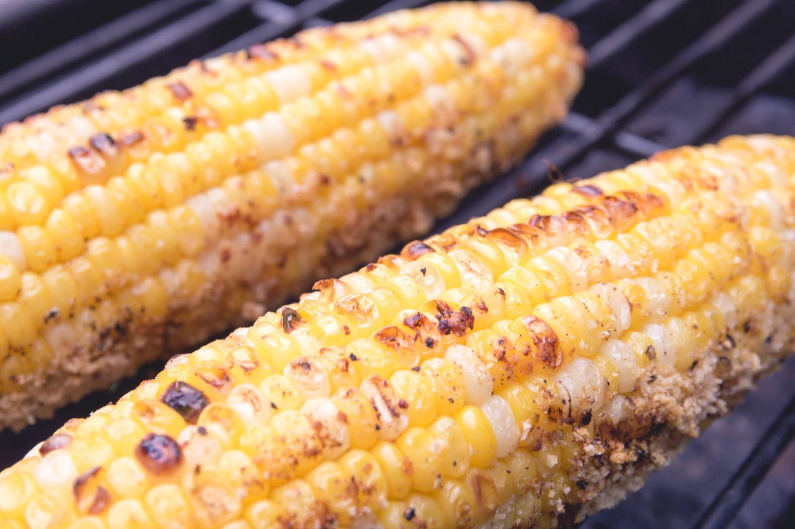 Peaches and Cream Sweet Corn Seeds | Untreated Hybrid Bicolor Yellow White 2024