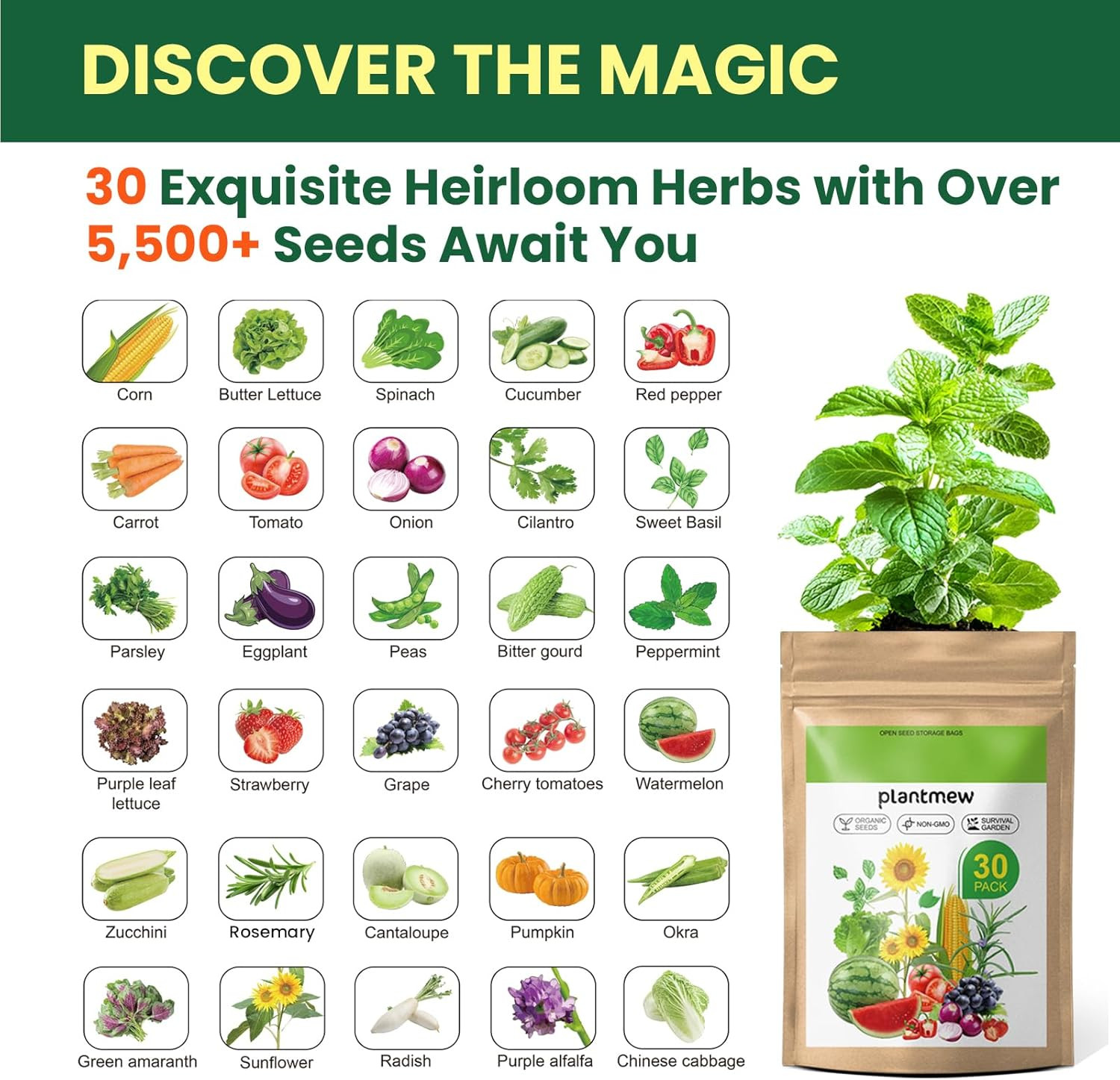 【Seed Vault】 Heirloom Vegetable Seeds Planting Kit – 15,000+ Non-Gmo Seeds for H