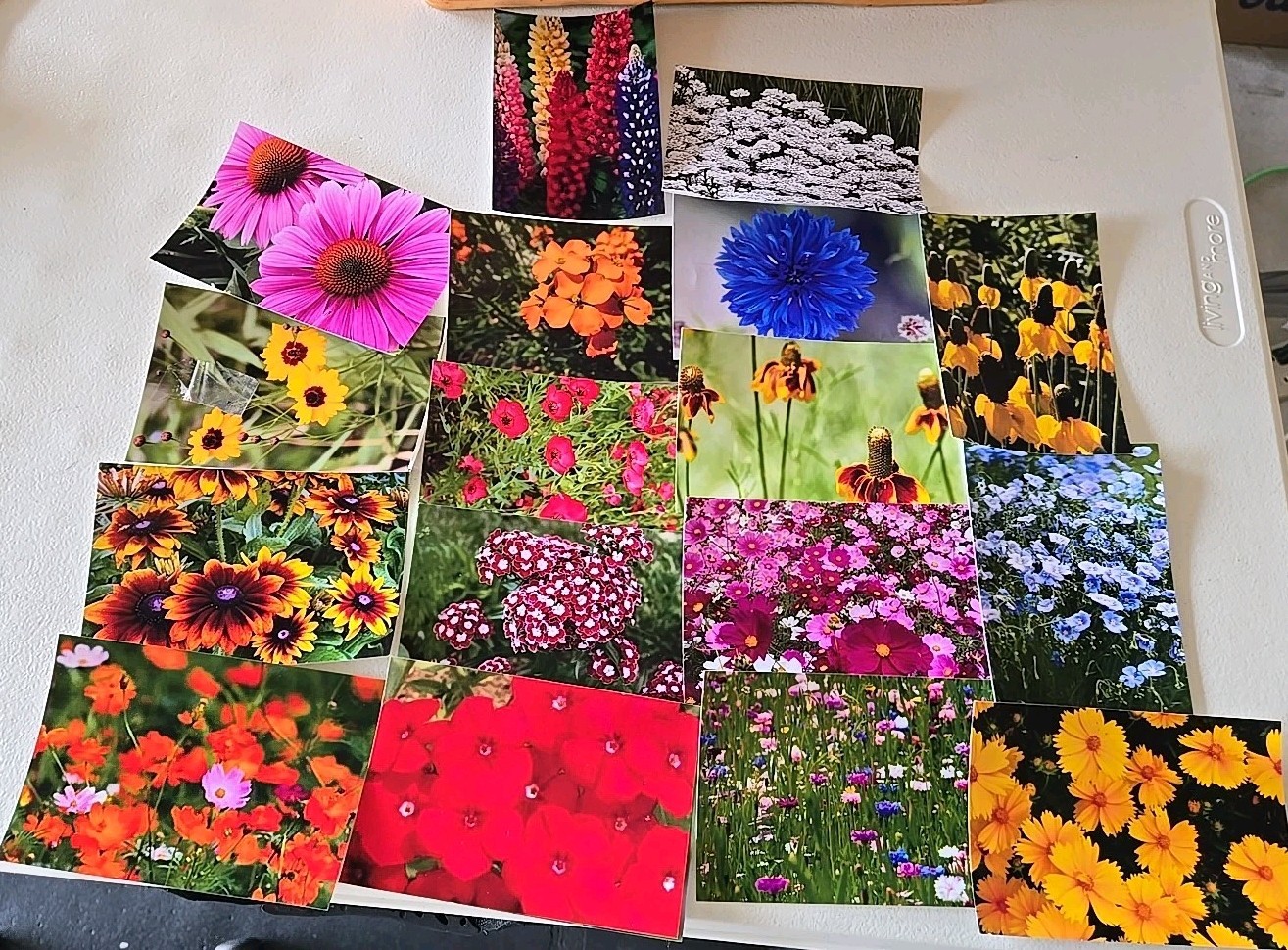Midwest Wildflower Seed Balls Bombs Annual/perennial Premium Organic Seed Mix