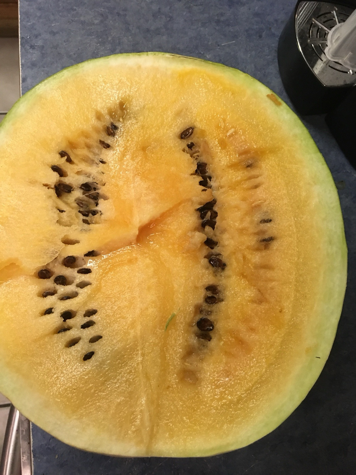 Watermelon Seeds Red-Yellow-Orange Meat Pecos Cantaloupe Seeds 100 Seed Mix Pac