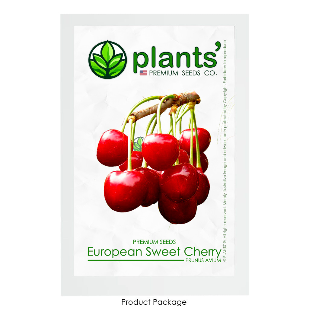 European Sweet Cherry | Premium Seeds | Prunus avium ‘Fruit’ | Plants’®
