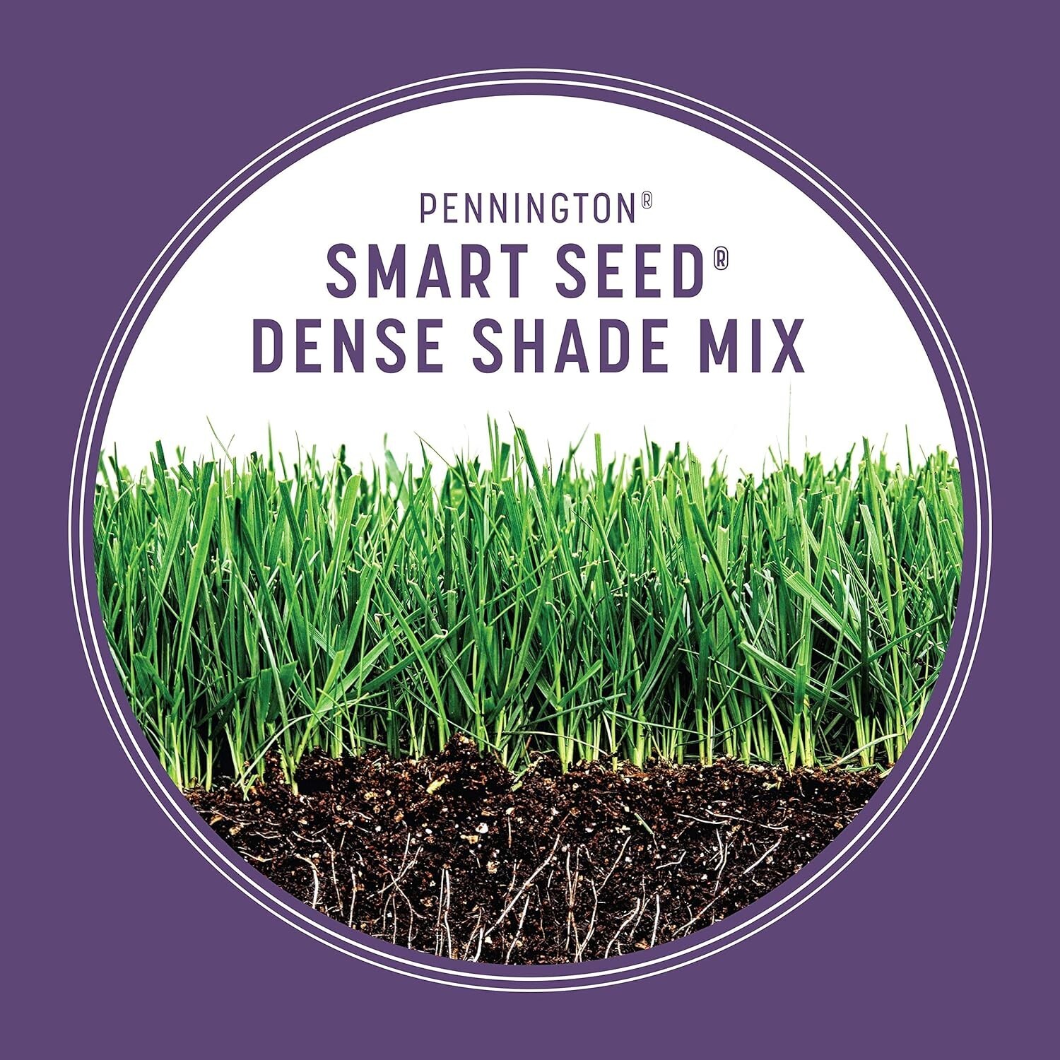 7 lb Smart Seed Dense Shade Mix – Disease & Traffic Resistant for Shady Yards