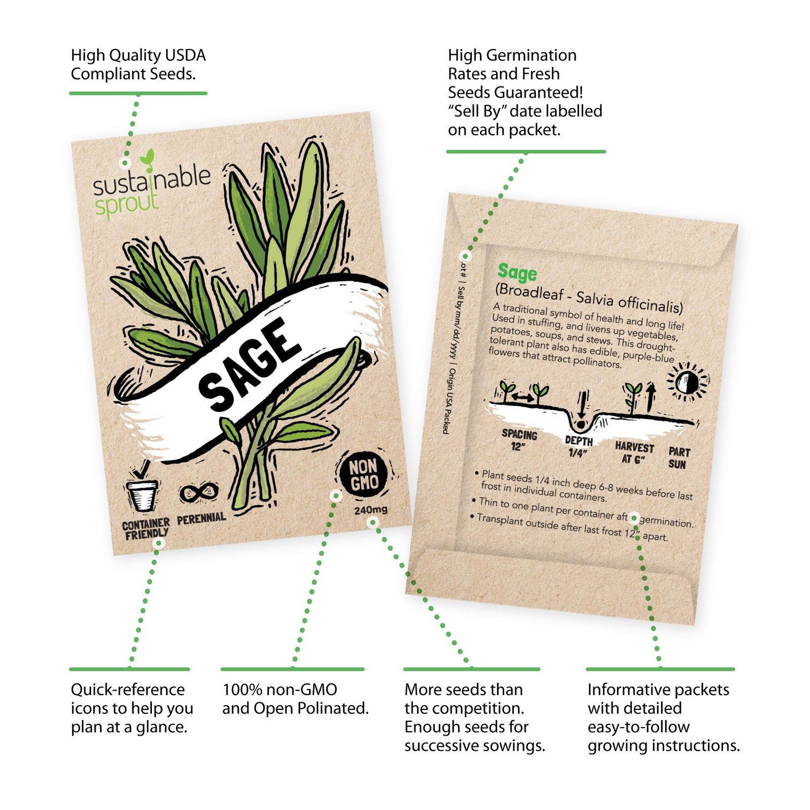 Culinary Herb Seeds Variety Pack: 10 Spice Herbs, Hydroponic Garden Indoors, …