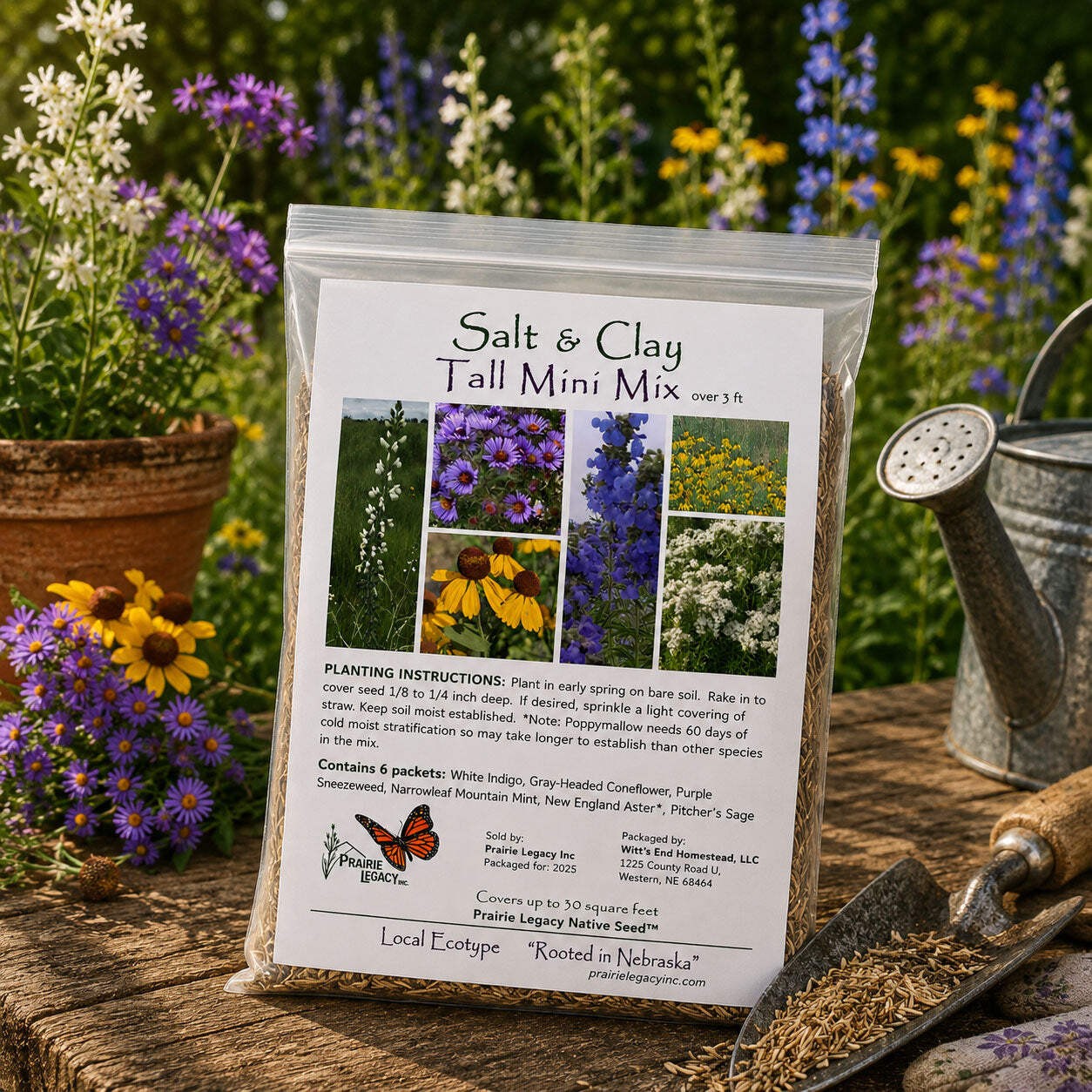 Backyard Salt & Clay Wildflower XL Bundle | Tall & Short Mini Mixes and Petite C