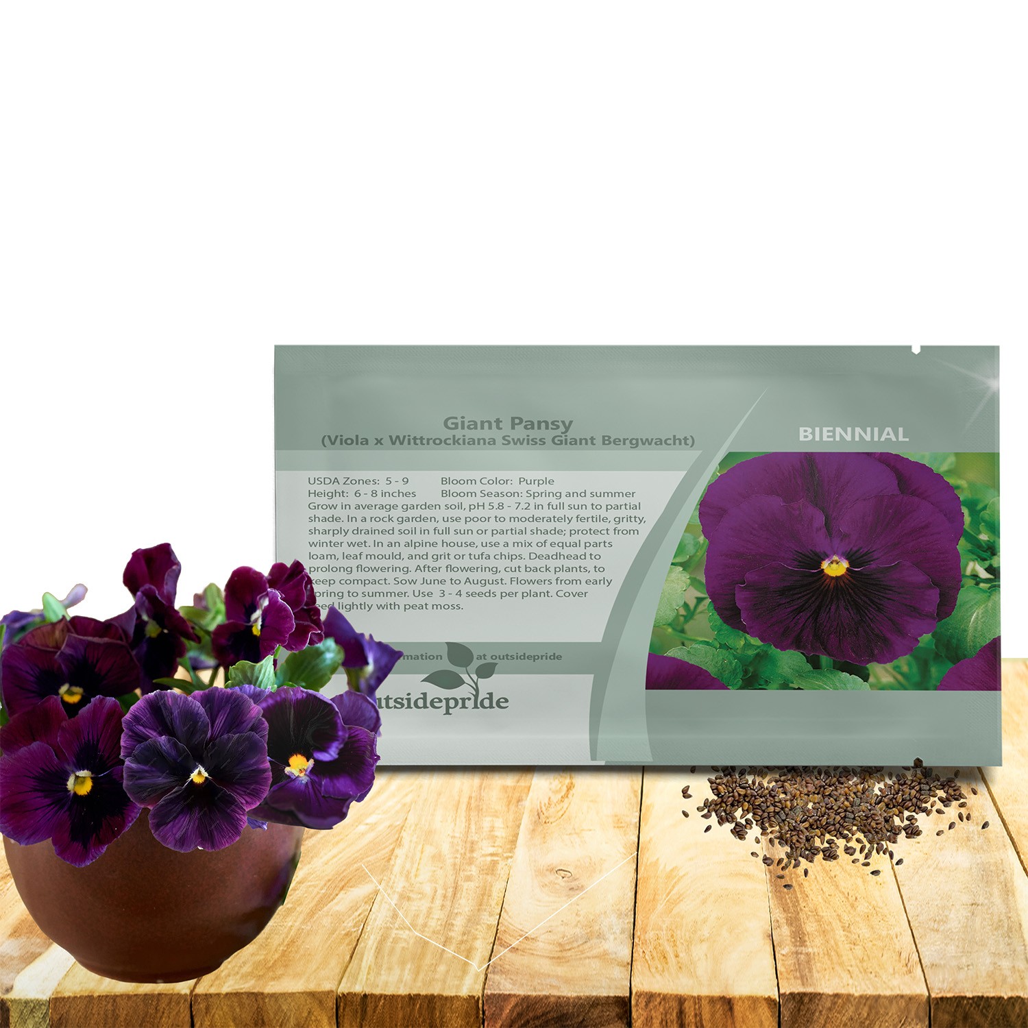 2000 Seeds Swiss Giant Pansy Flower Seeds – Growing Pansies From Seeds