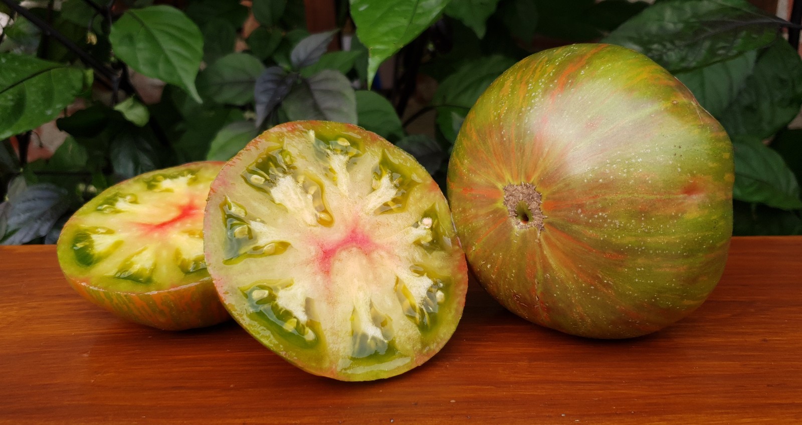 10 seeds Dwarf Peppermint Stripes Tomato ORGANIC Rare DTP