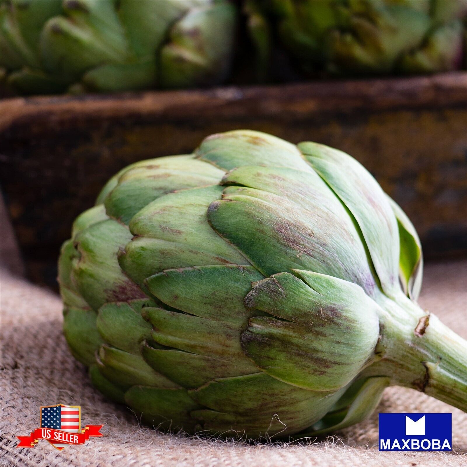 Artichoke 20 Seeds Green Globe Perennial Non-GMO Heirloom BOGO 50% OFF