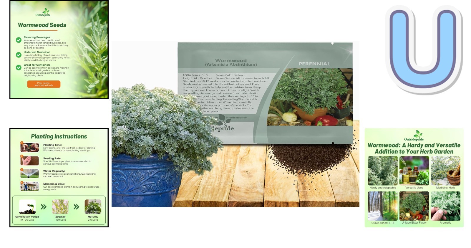 Perennial Wormwood Seeds (5000) – Low-Maintenance Herb with Yellow Summer Blooms