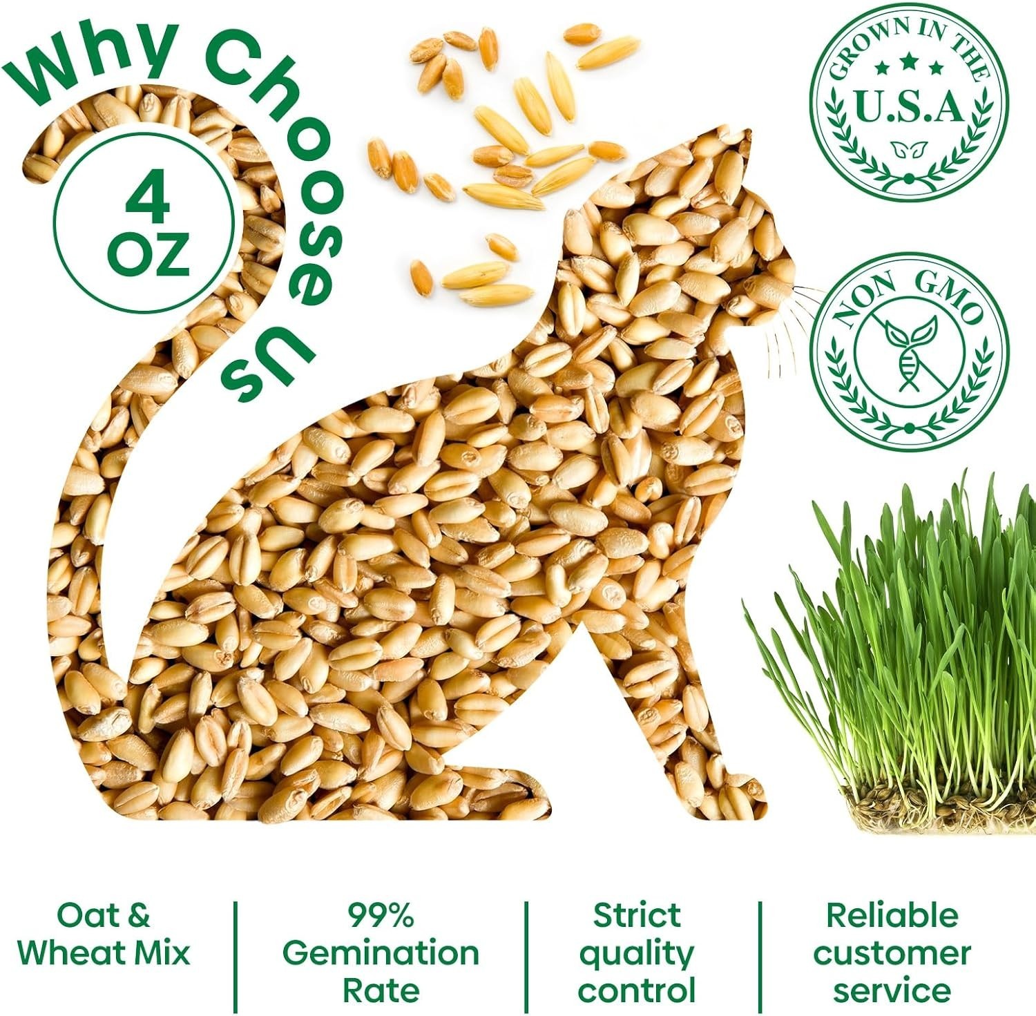4 Oz Cat Grass Seeds Mix – Fast-Growing Non-GMO Wheat & Oat For Healthy Cats
