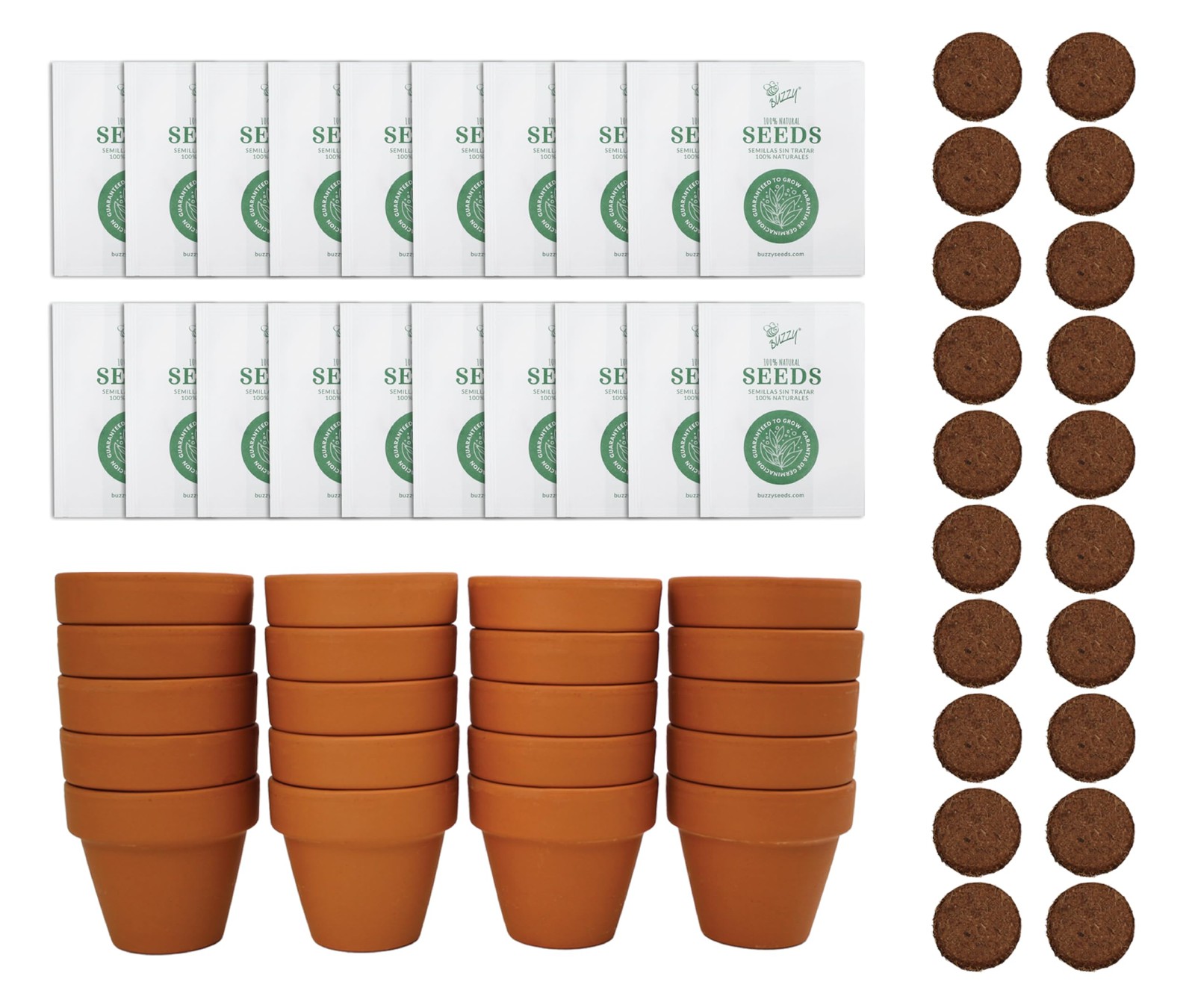 Seeds Spruce Terracotta Mini Grow Pots – Indoor Tree Starter Kit Bulk 20-Pack…