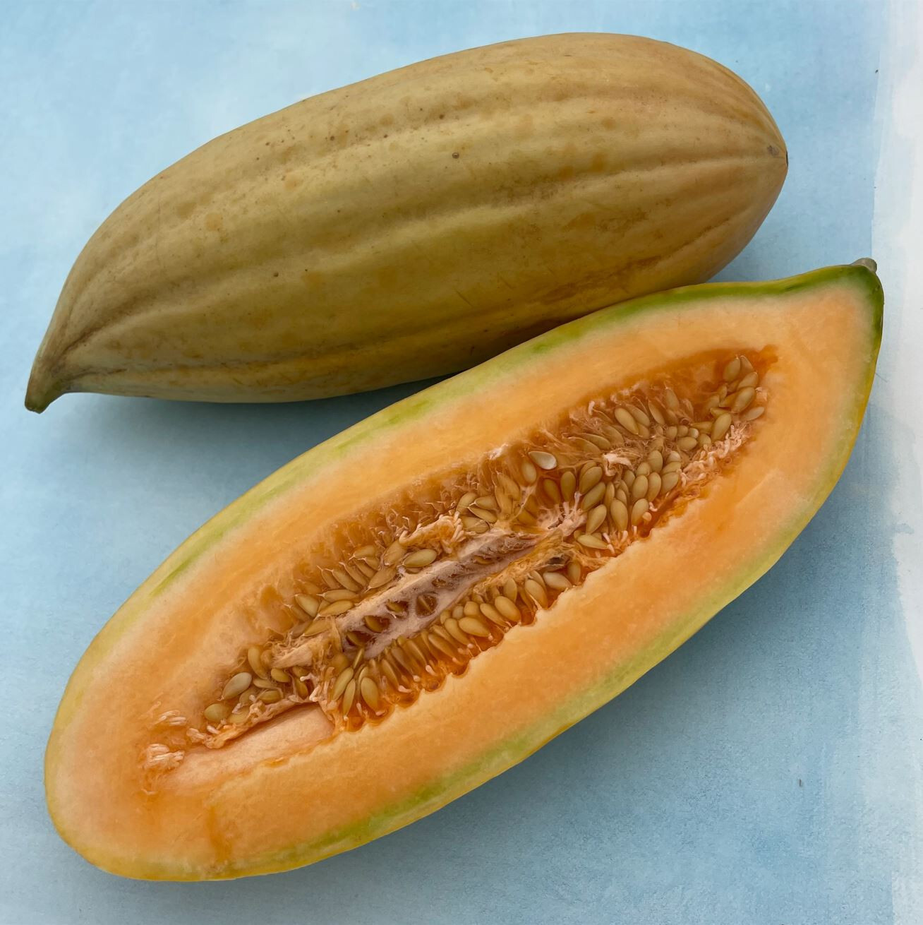40 Heirloom Banana Melon Seeds – Unique Flavor and Appearance! Heavenly Sweet