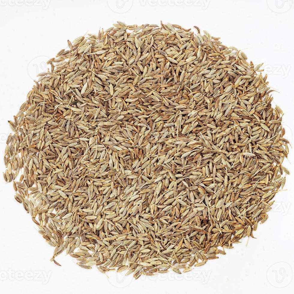 Cumin Herb Seeds Cuminum cyminum 200 Seeds Free Shipping!