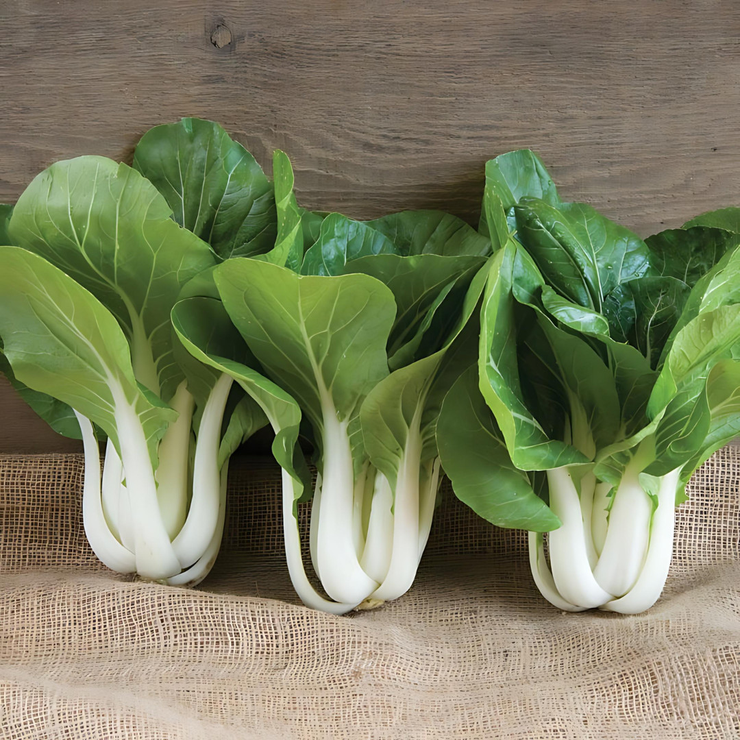 Fresh Tall White Stem Pak Choi Seeds | Heirloom Non-GMO | Asian Vegetable Seeds