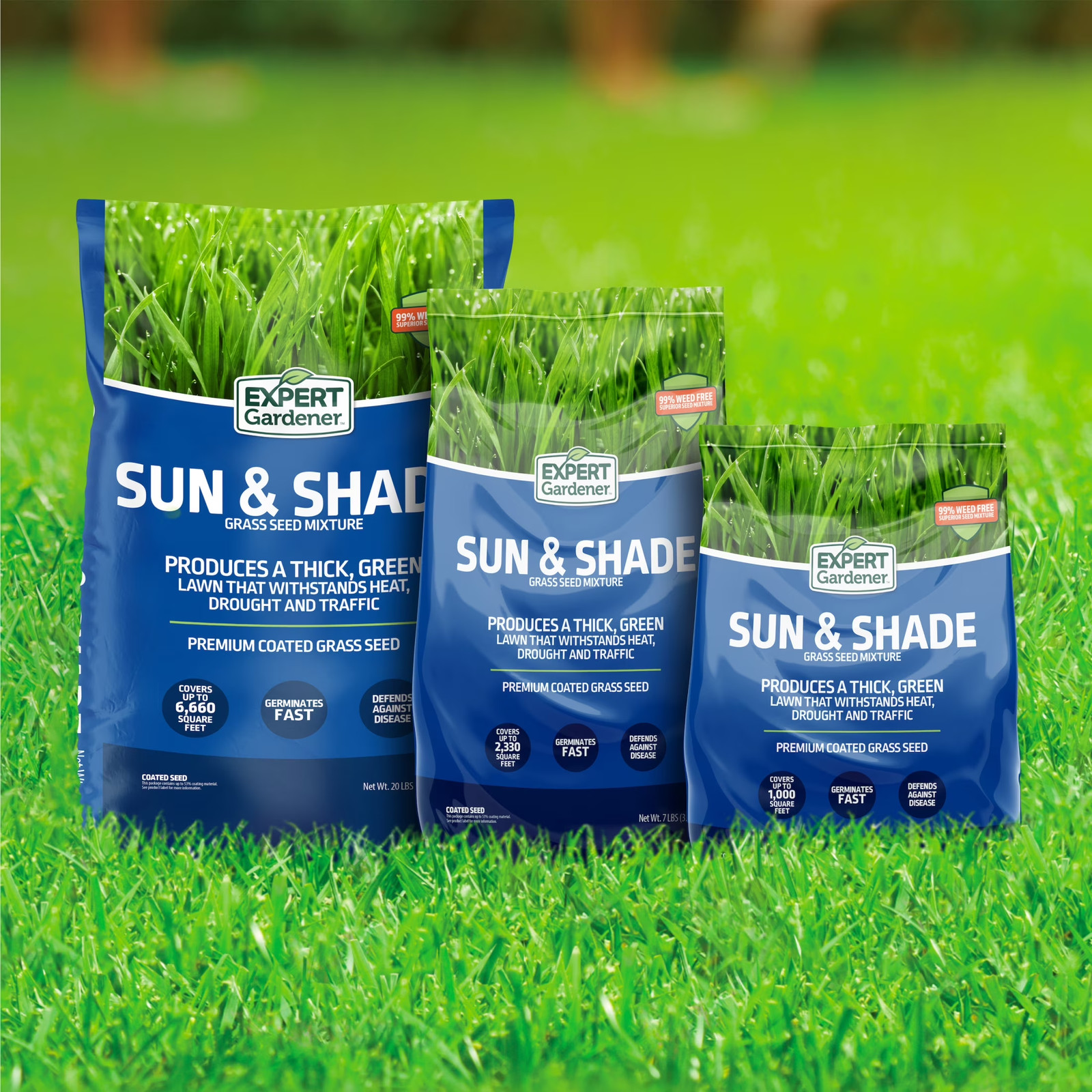 Sun & Shade Northern Grass Seed Mix, for Sun to Partial Shade, 3 Lb.