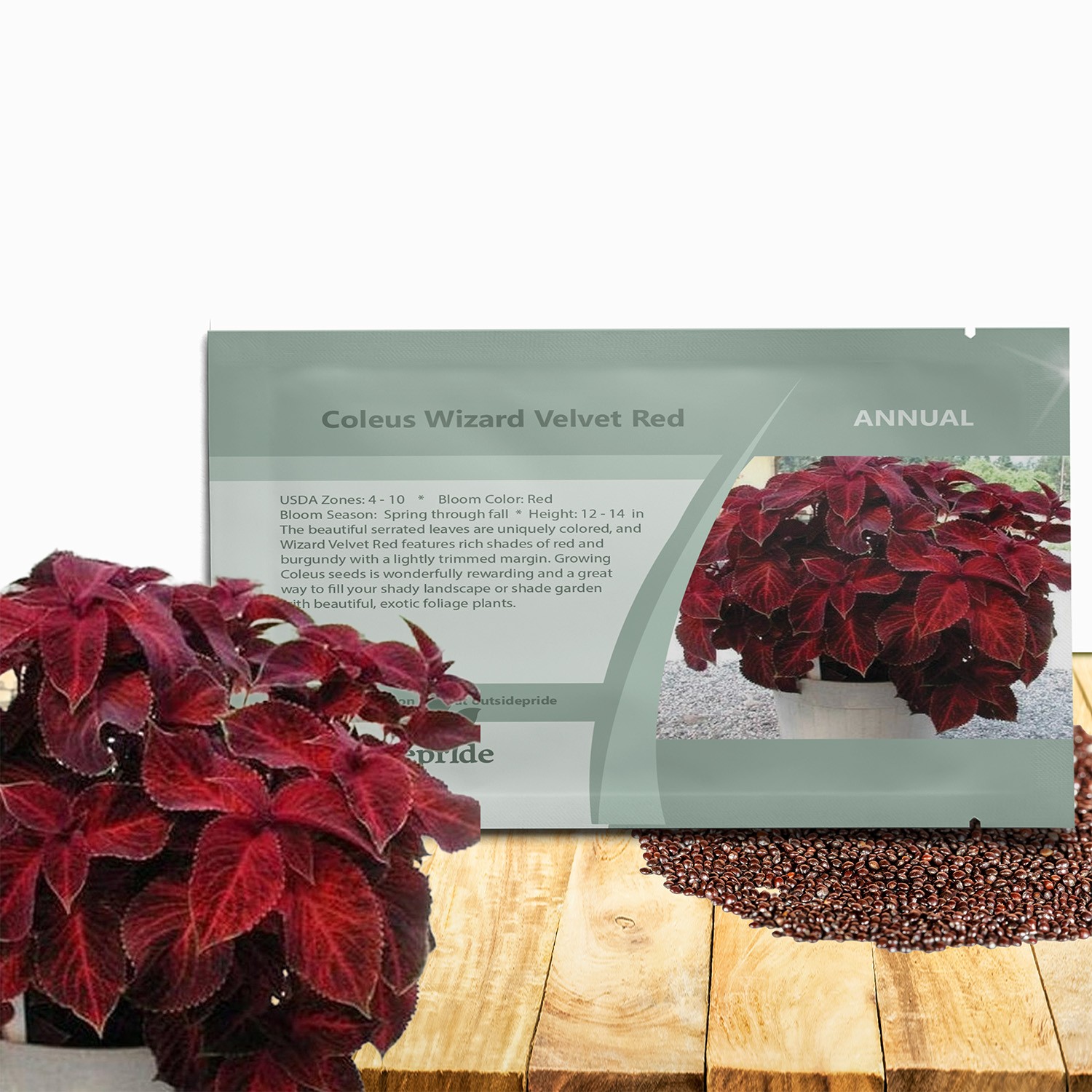 200 Seeds Wizard Red Velvet Coleus Seeds For Planting – Shade Garden Plants