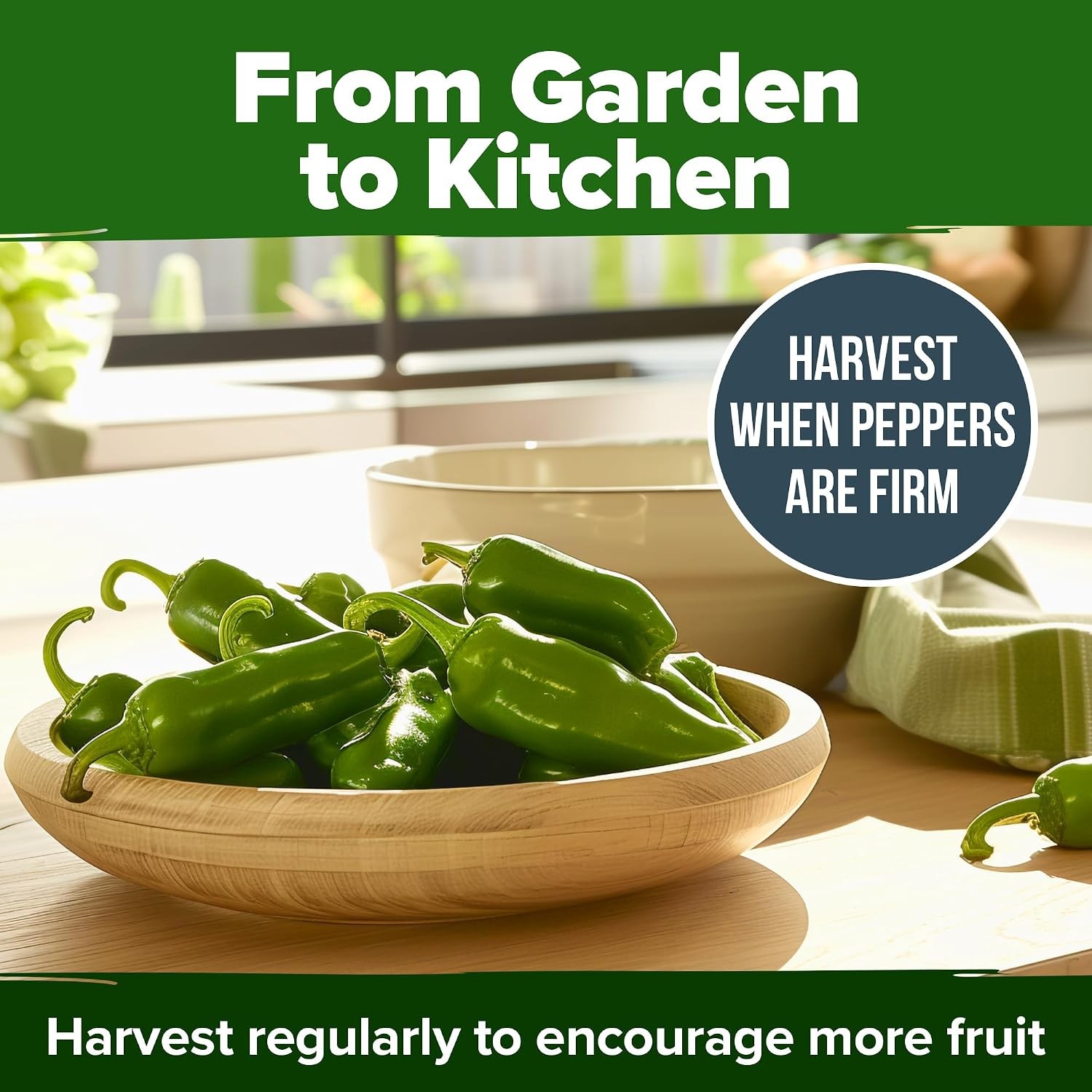 Jalapeno Pepper Heirloom Non-GMO Seeds 258+ Homegrown Jalapeno Seeds for