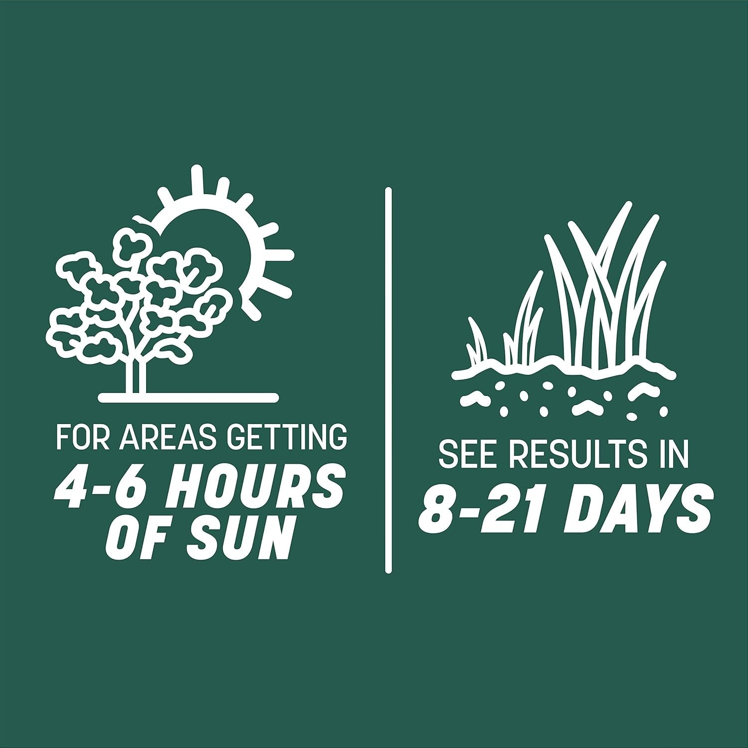 3 lb Tall Fescue Grass Seed for Sun and Shade – Perfect for Hot Climates