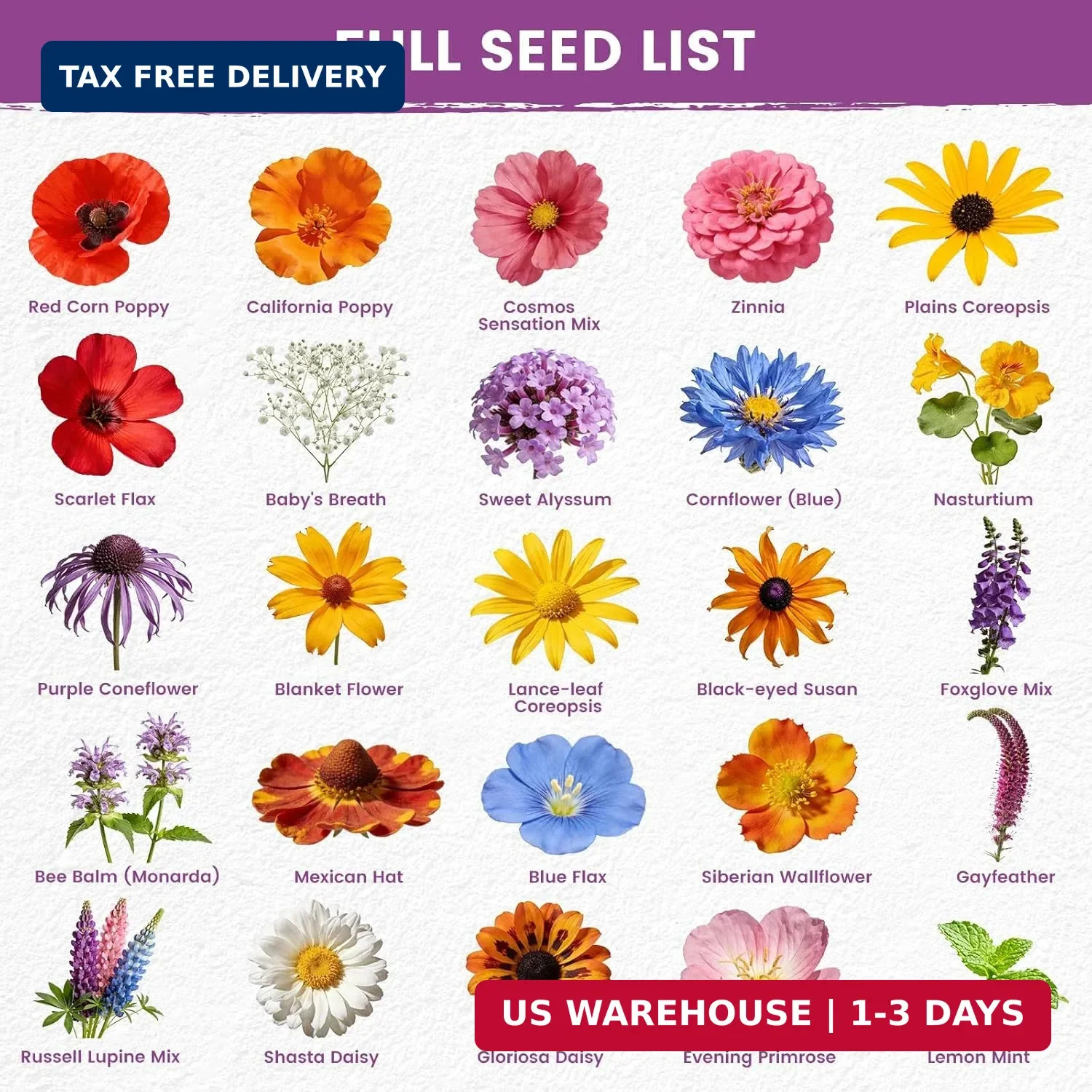 Wildflower Seeds Bulk Mix – 10,000+ Non-GMO Perennial & Annual Seeds – Texas, Ca