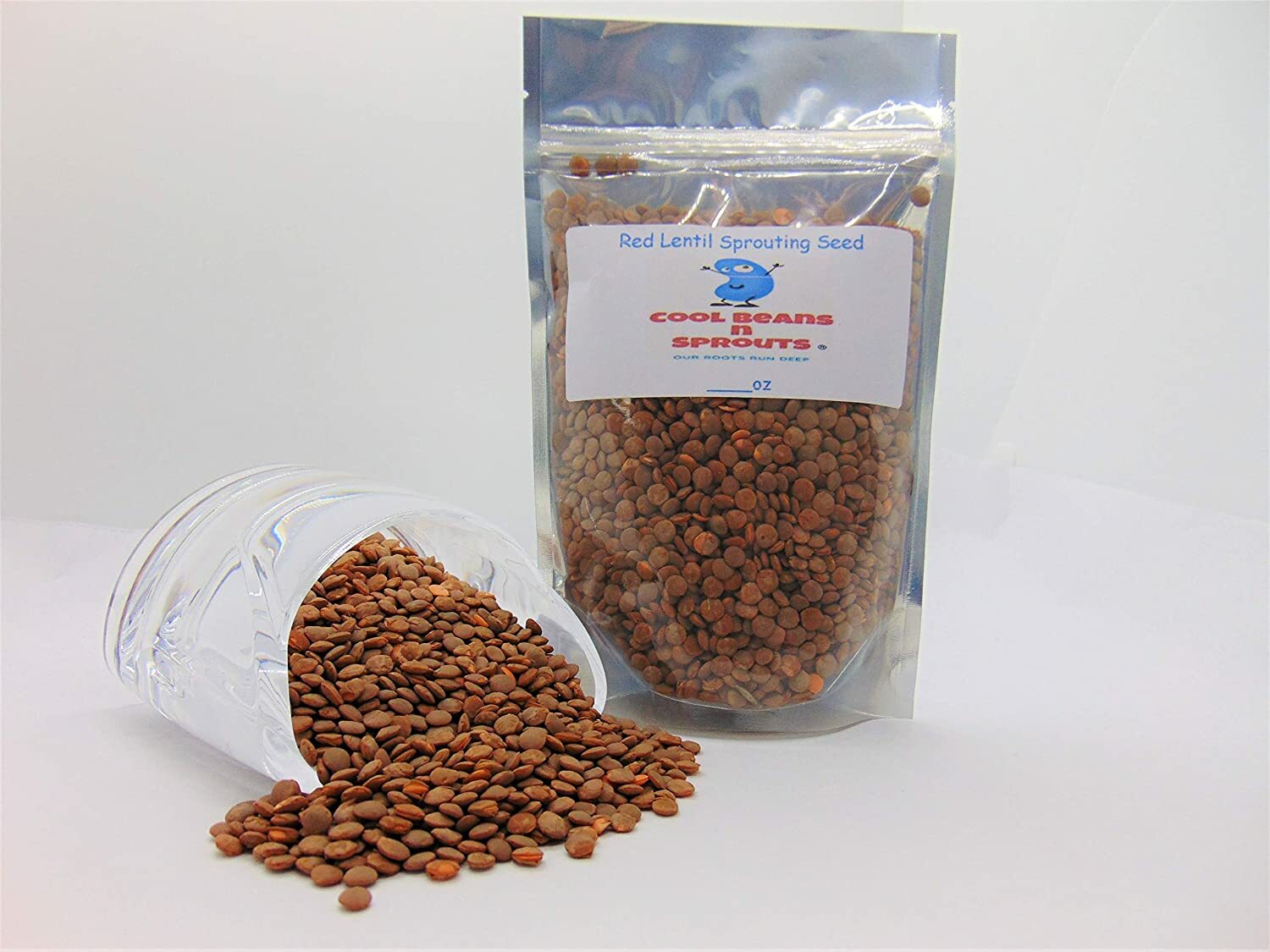 Red Lentil Seeds for Sprouting Microgreens, COOL BEANS N SPROUTS