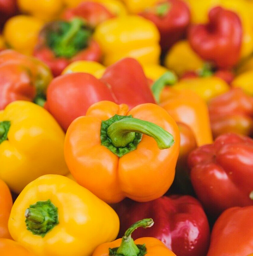 20 Sweet Mini Bell Pepper Seeds, Red, Orange, Yellow, NON-GMO, Mixed Color