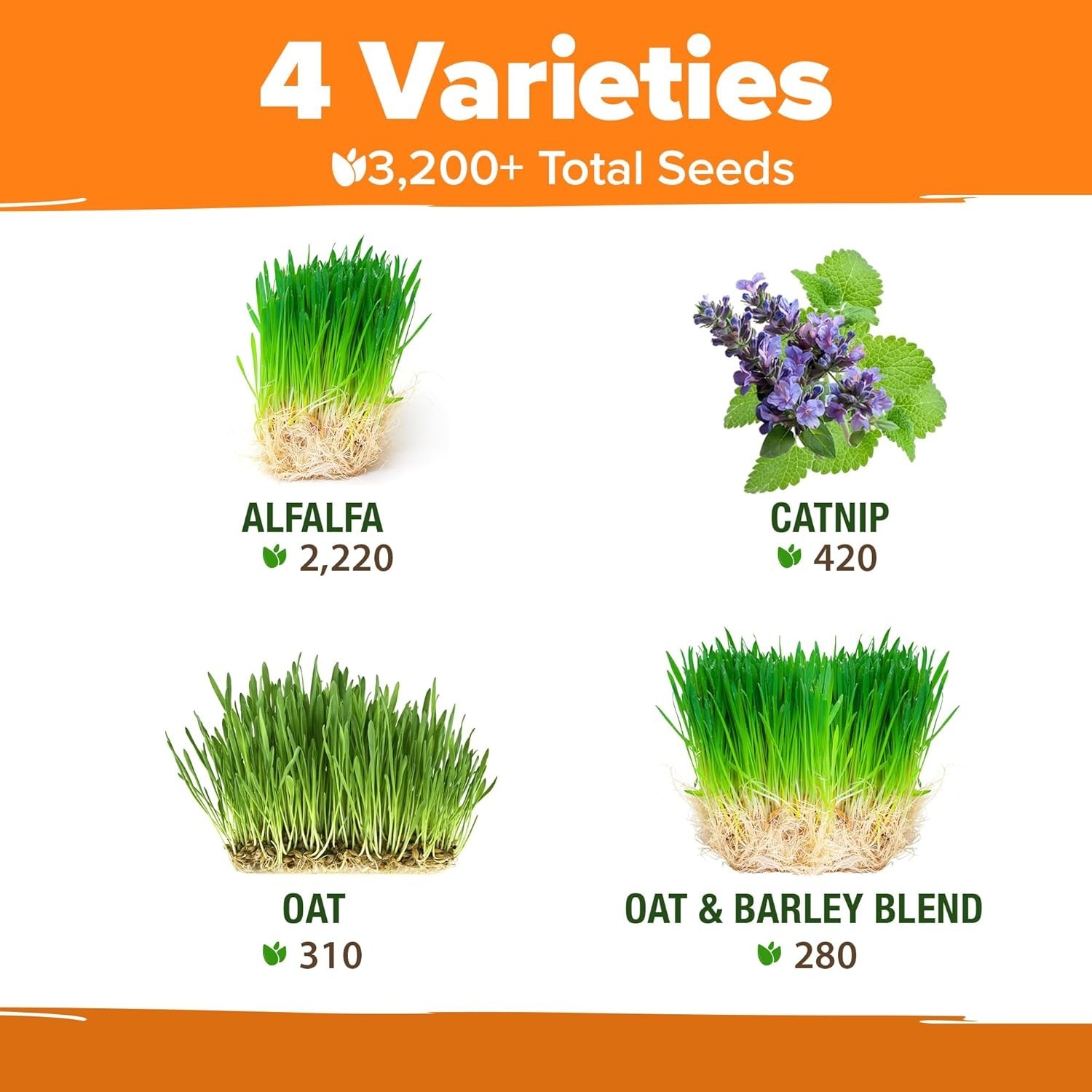 3200+ Cat Grass Seeds – Nutrient-Rich Oat & Alfalfa for Hairball Relief