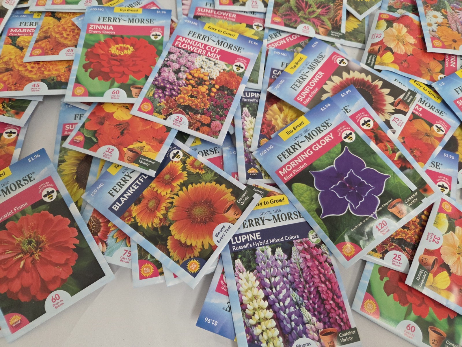 Lot Of 100 Variety Flower Seeds Packs Garden Pollinator- ALL FERRY MORSE 12/26