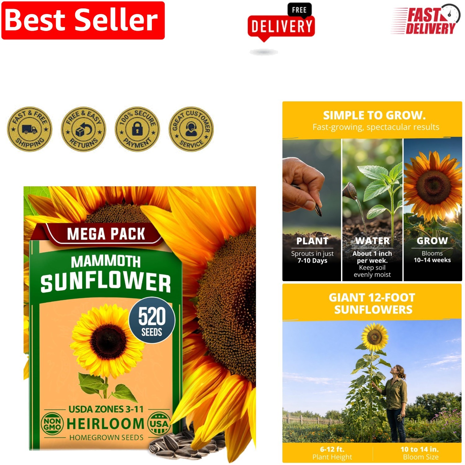Bulk Packet of 520 Giant Mammoth Sunflower Seeds – Vibrant Growth for Any Garden