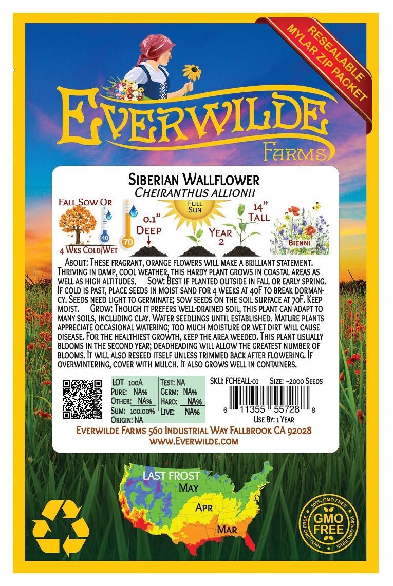 2000 Siberian Wallflower Wildflower Seeds – Everwilde Farms Mylar Seed Packet