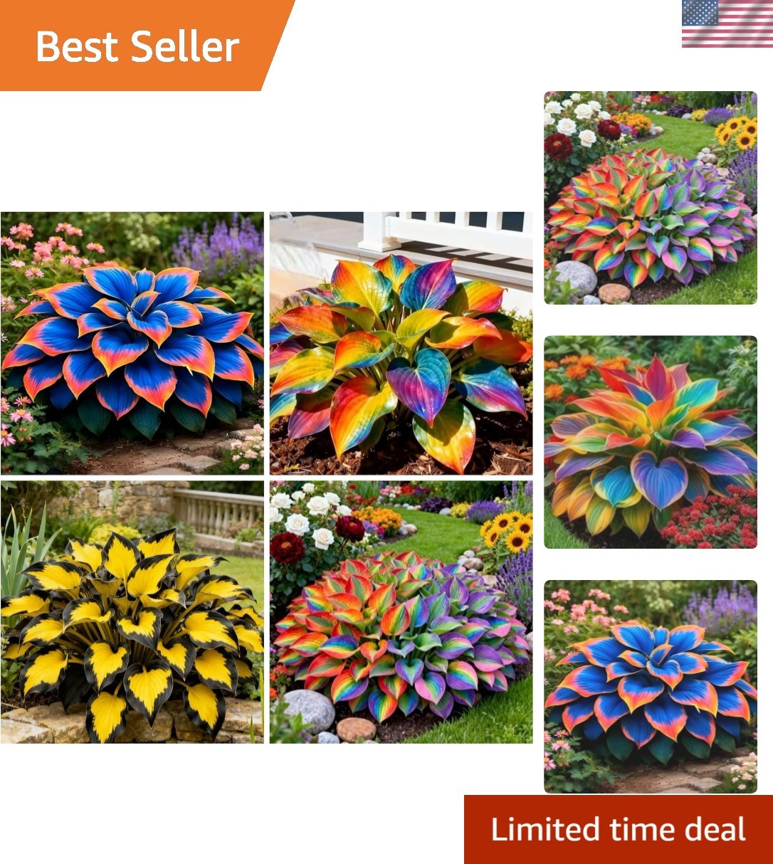 Rainbow Hosta Seeds – Colorful, Low-Maintenance Perennials for Any Outdoor Space