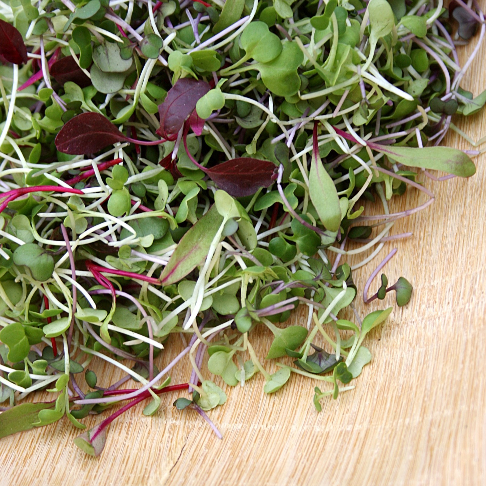 Microgreens Seeds- Sprouting Seeds- Heirloom Varieties- 4,900+ Seeds