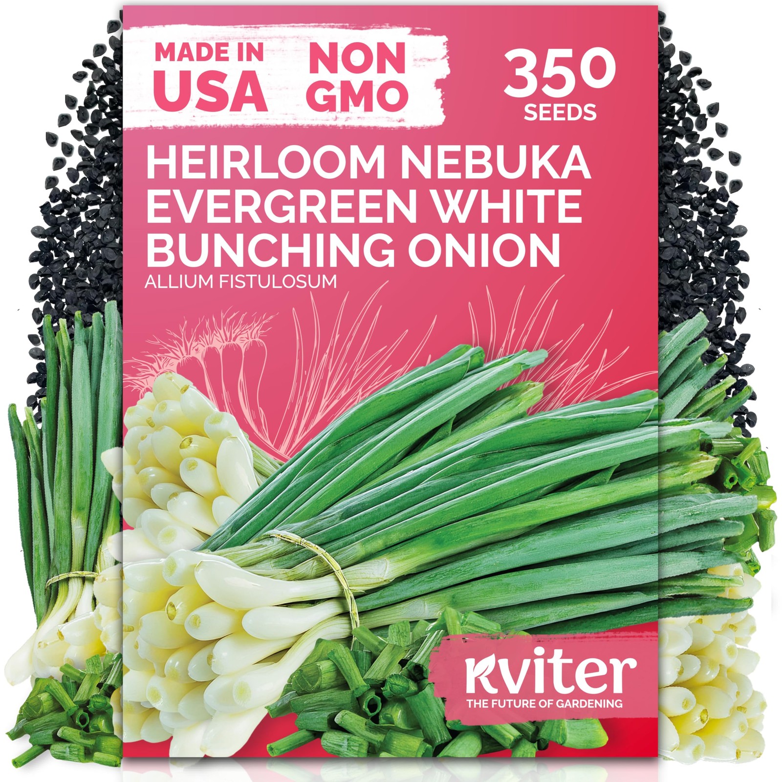 KVITER 350 Evergreen White Nebuka Bunching Onion Seeds (Allium Fistulosum)