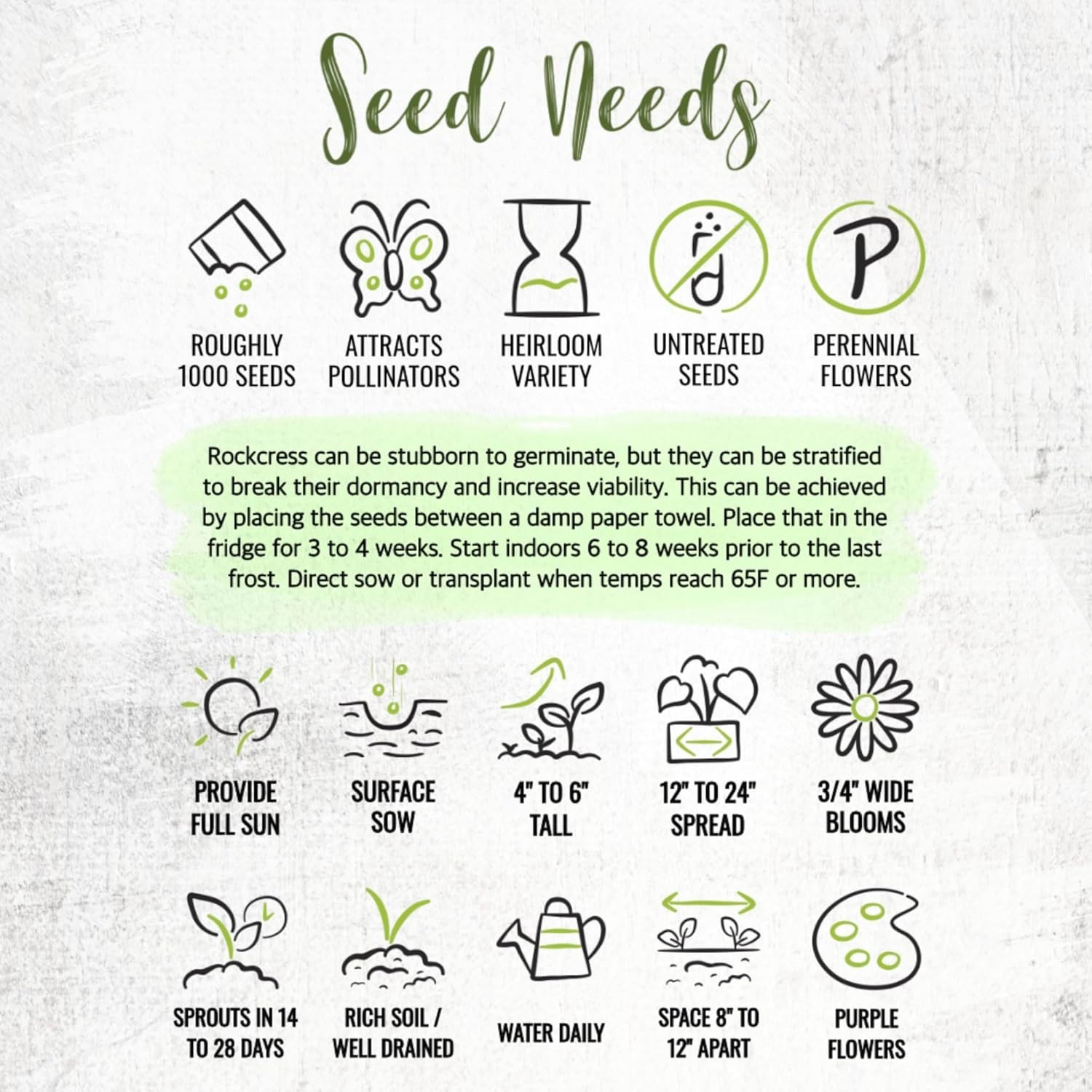 Seed Needs Purple Rockcress Seeds for Planting – Heirloom & Open Pollinated
