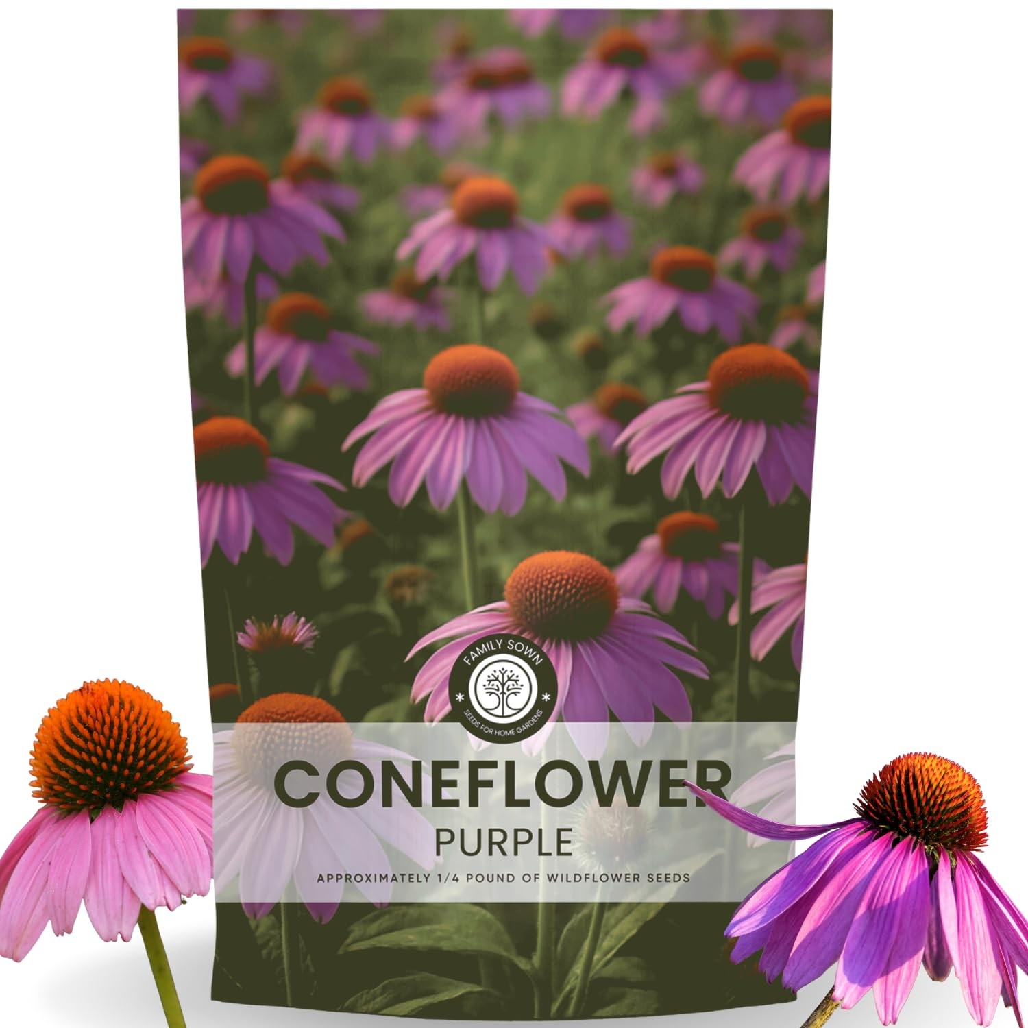 Purple Coneflower Seeds – 28,000 Count for Planting – 2026 Season – 4 Ounce