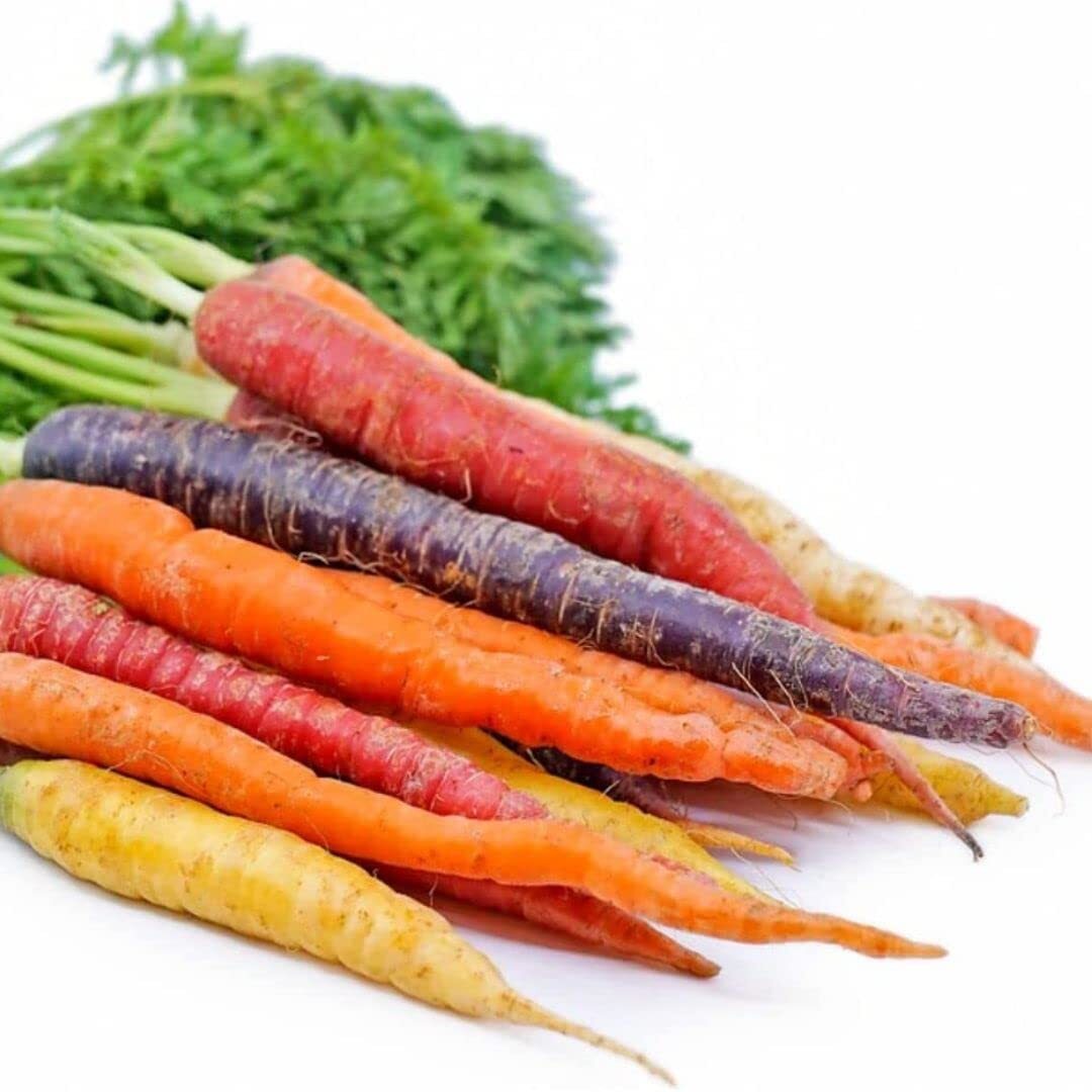 Rainbow Carrot Seeds for Planting | Non-GMO & Heirloom Vegetable Seeds | 750 Car