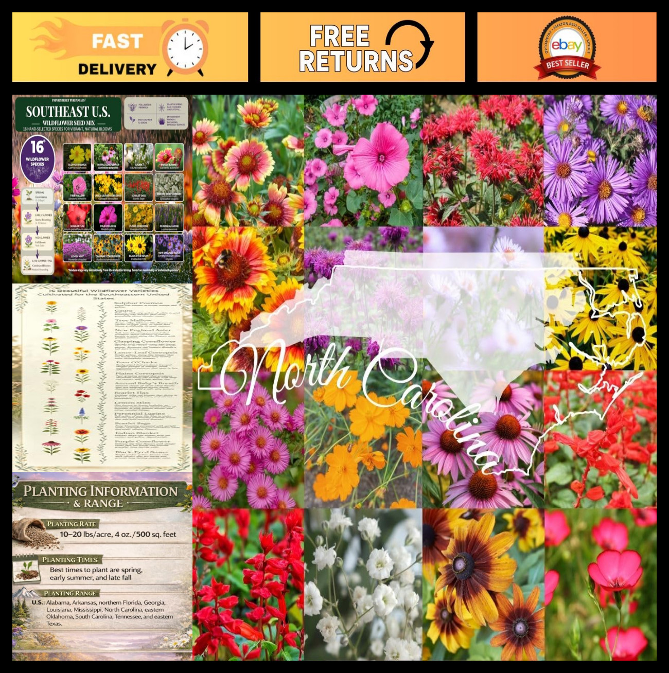 Bulk Perennial Wildflower Seed Mix 1lb – Attract Pollinators, Multi-Color Blooms