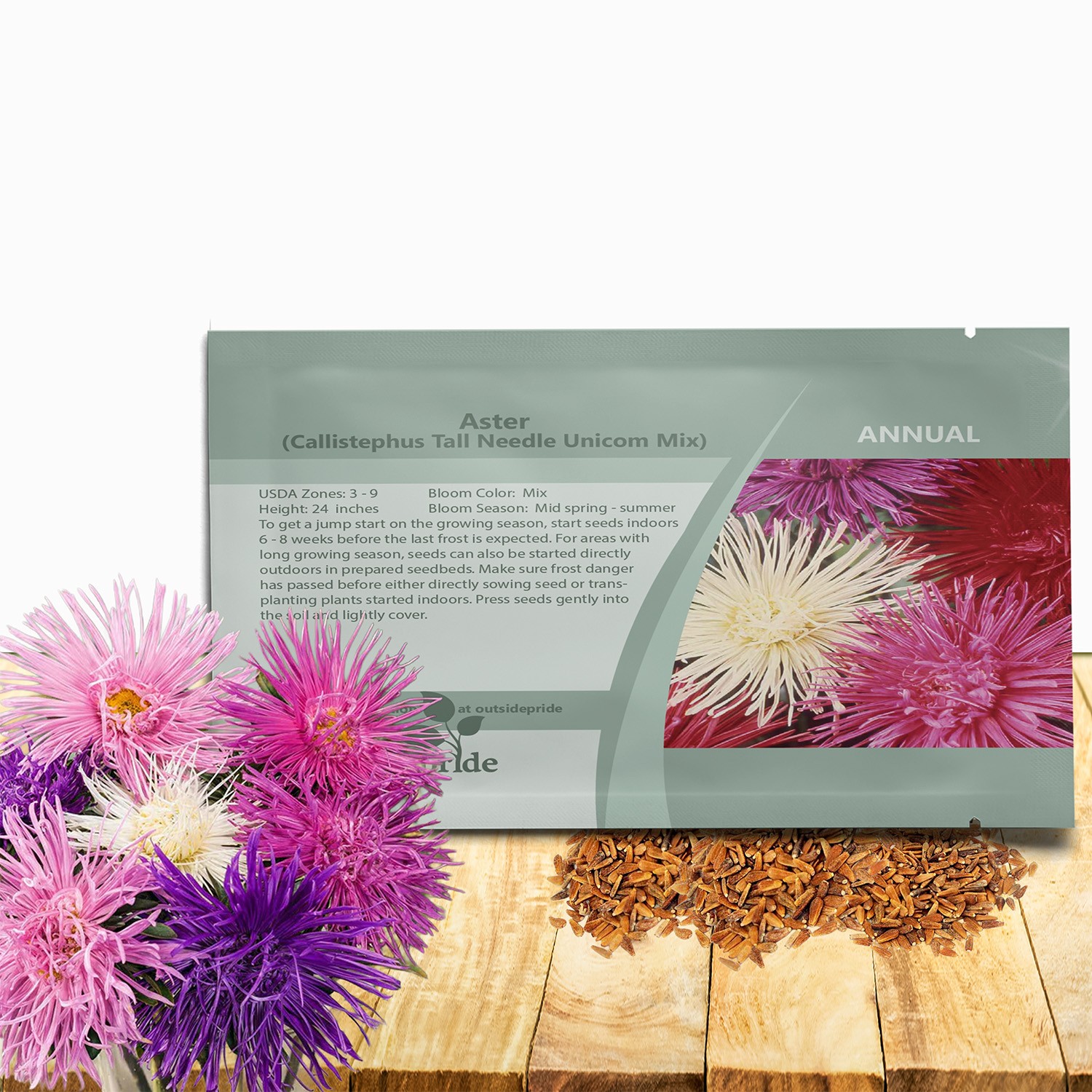 1000 Seeds Aster Seeds – Aster Callistephus Needle Mix Flower Seed
