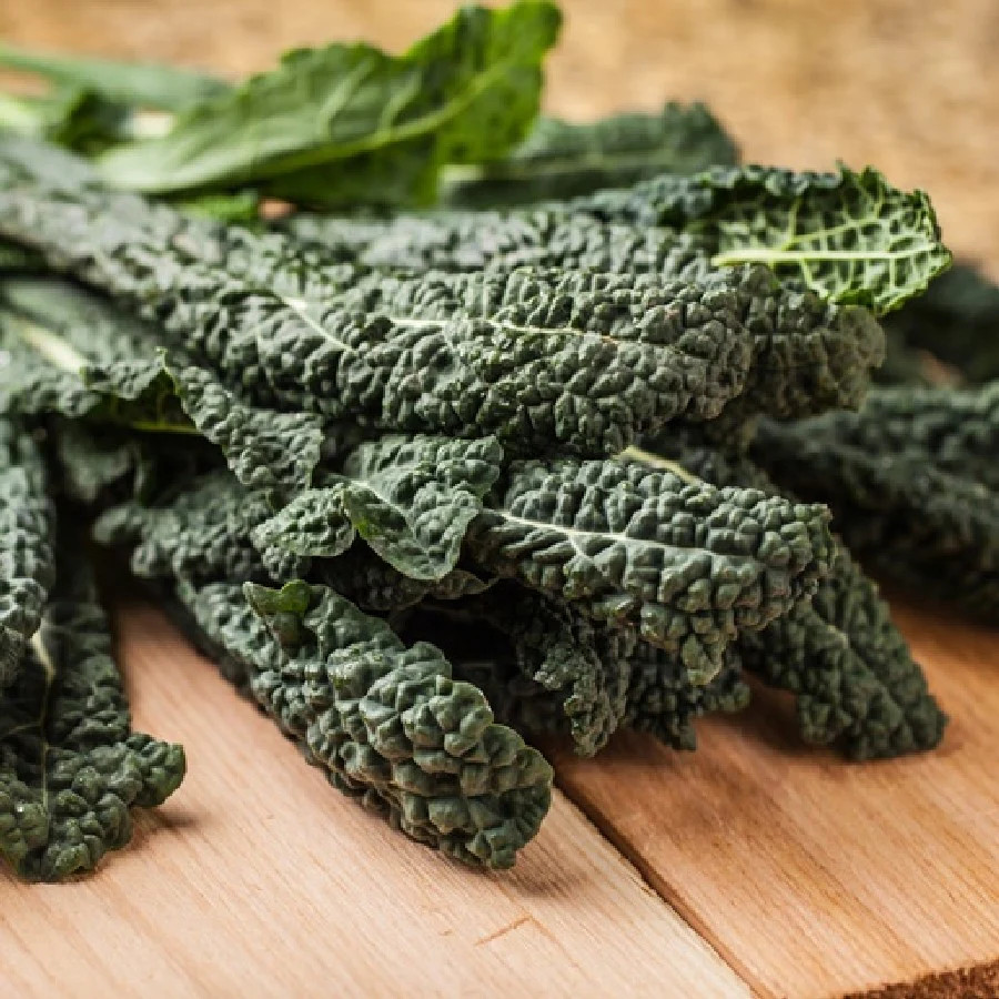 Dinosaur Kale Seeds | Lacinato Italian Tuscan Kale Garden Vegetable Seed 2024