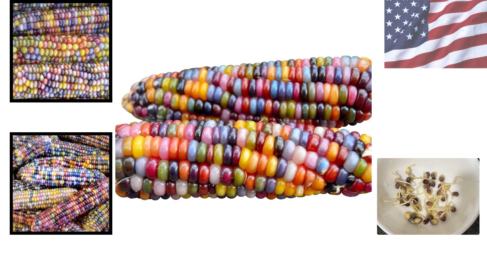 Vivid 100 Count Glass Gem Corn Seeds – Perfect for Crafts and Summer Gardens
