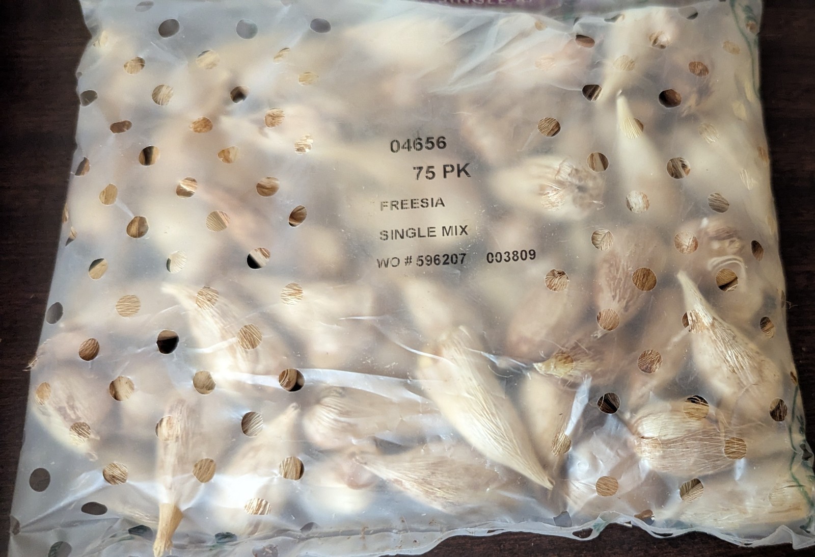 75 Single Blend Freesia Flower Bulbs