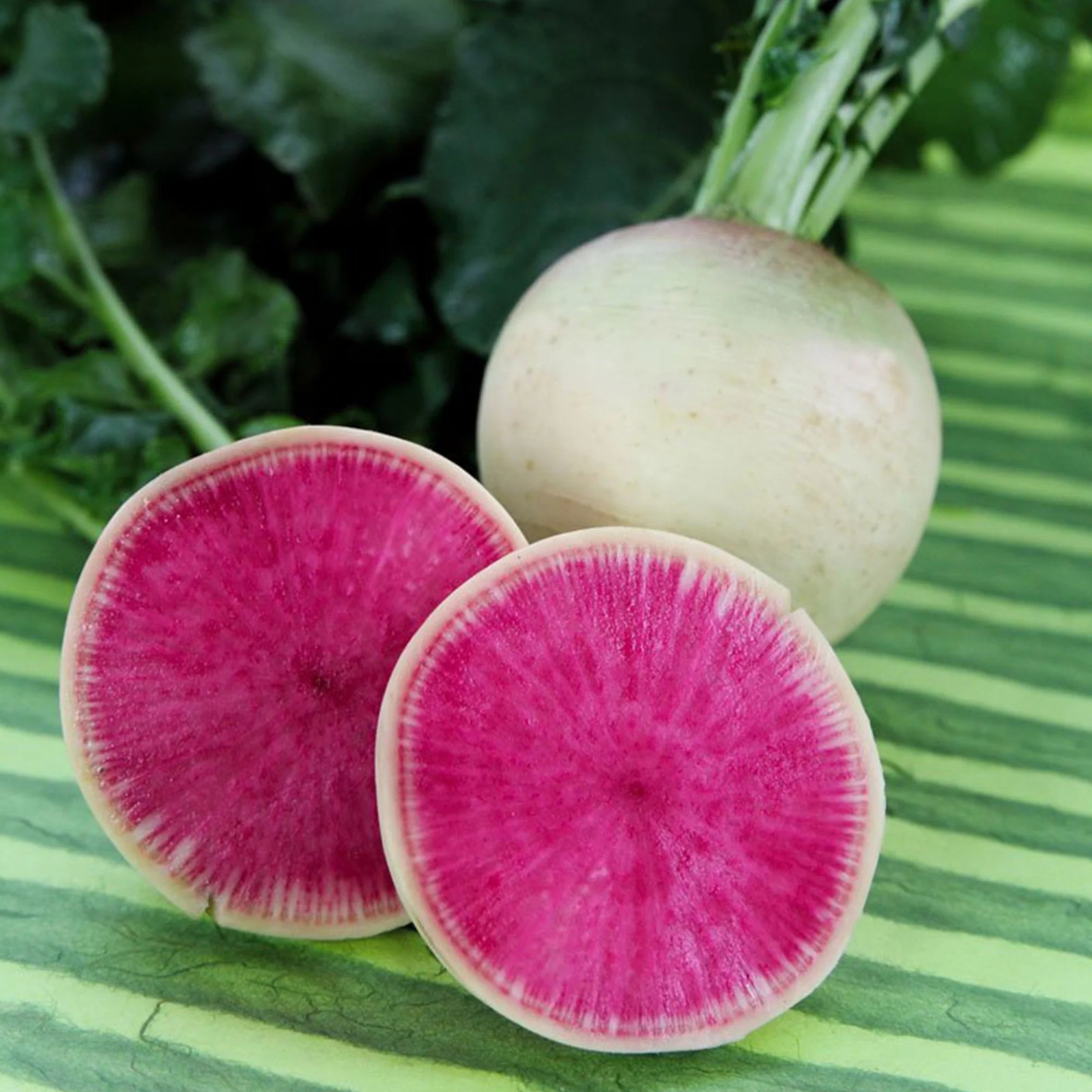 600+ Watermelon Radish Seeds – NON GMO ————– FRESH