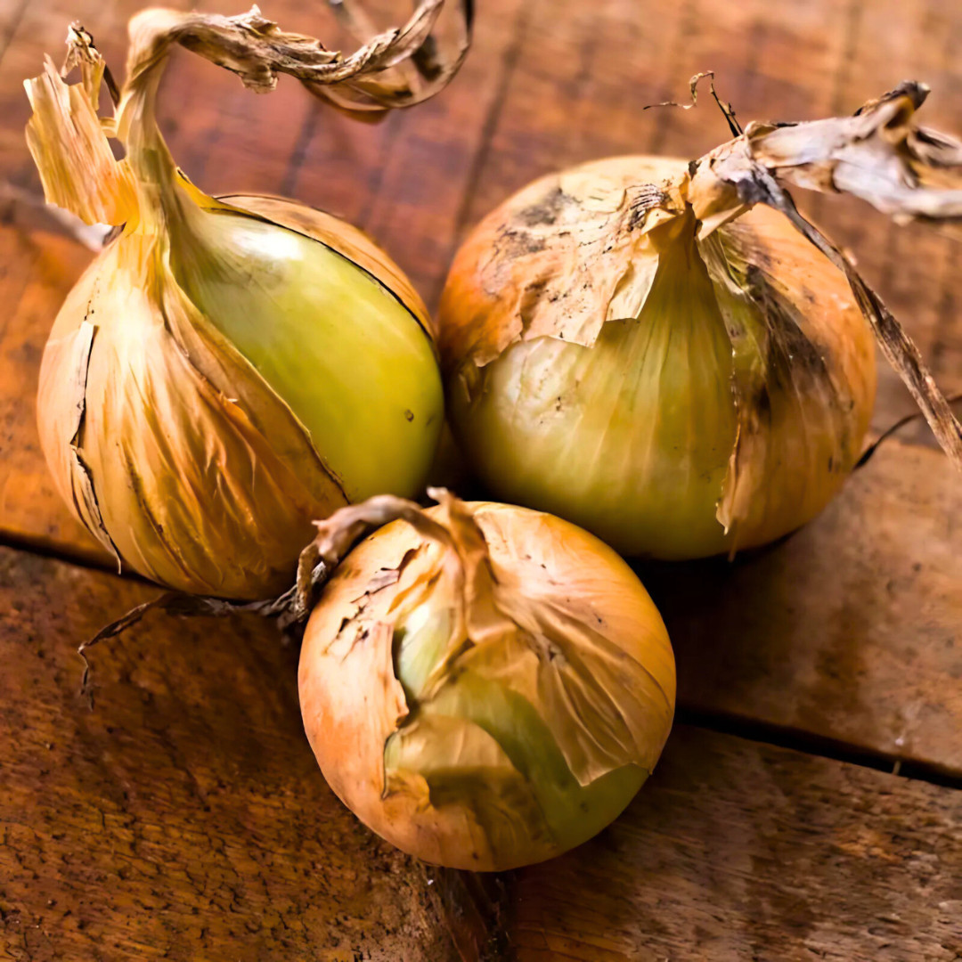 Fresh Walla Walla Onion Seeds | Sweet | Heirloom Non-GMO | Vegetable Seeds