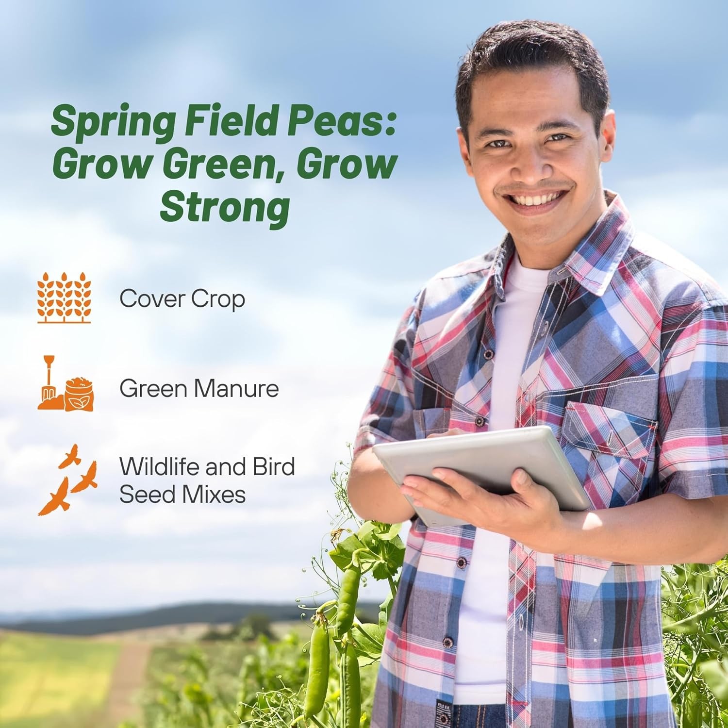 5 LBS Field peas for cover crops and food plots