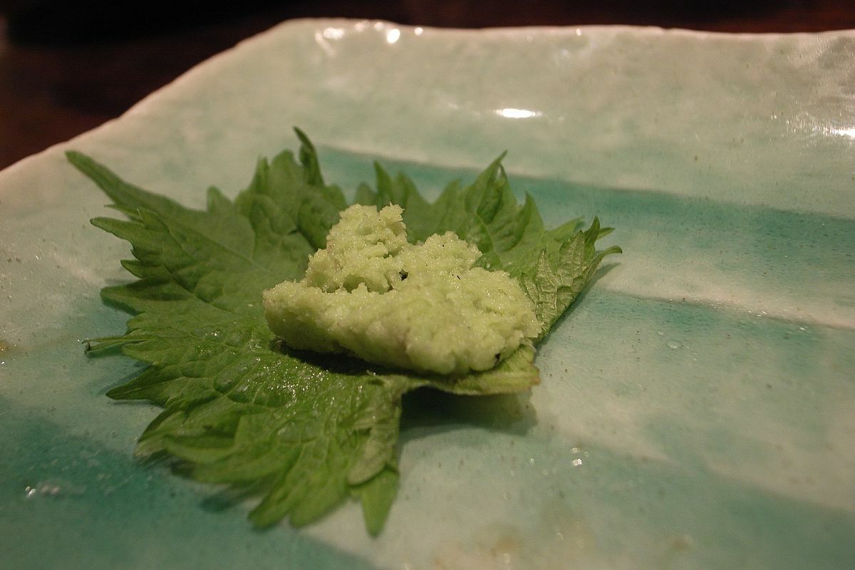 500 GREEN SHISO Seeds Non-GMO Perilla frutescens Beef Steak Plant USA Seller